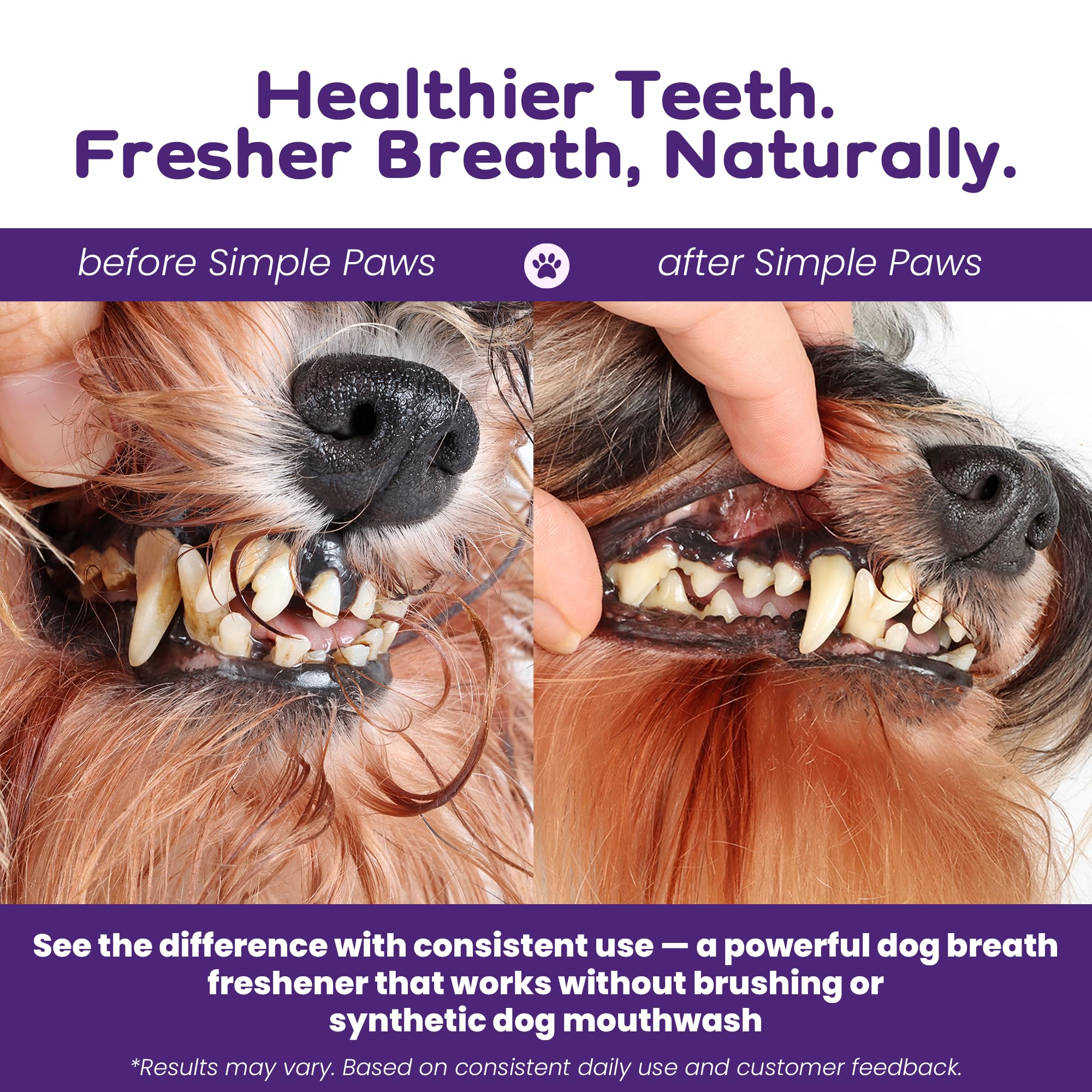 Polvere dentale per cani per la pulizia dei denti - Polvere dentale per | Prevenire l'alito cattivo del cane con probiotici per alito fresco e salute orale - Al gusto di pollo