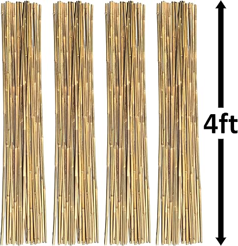 Miniatura 6 de Dlh Western Postes de bambú natural, estacas de jardín ecológicas de 6 pies de largo, diámetro de 58 pulgadas (50 unidades)