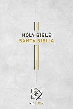 Santa biblia english español 聖書 NLT Bilingual Bible / Biblia bilingüe NLT/NTV (LeatherLike