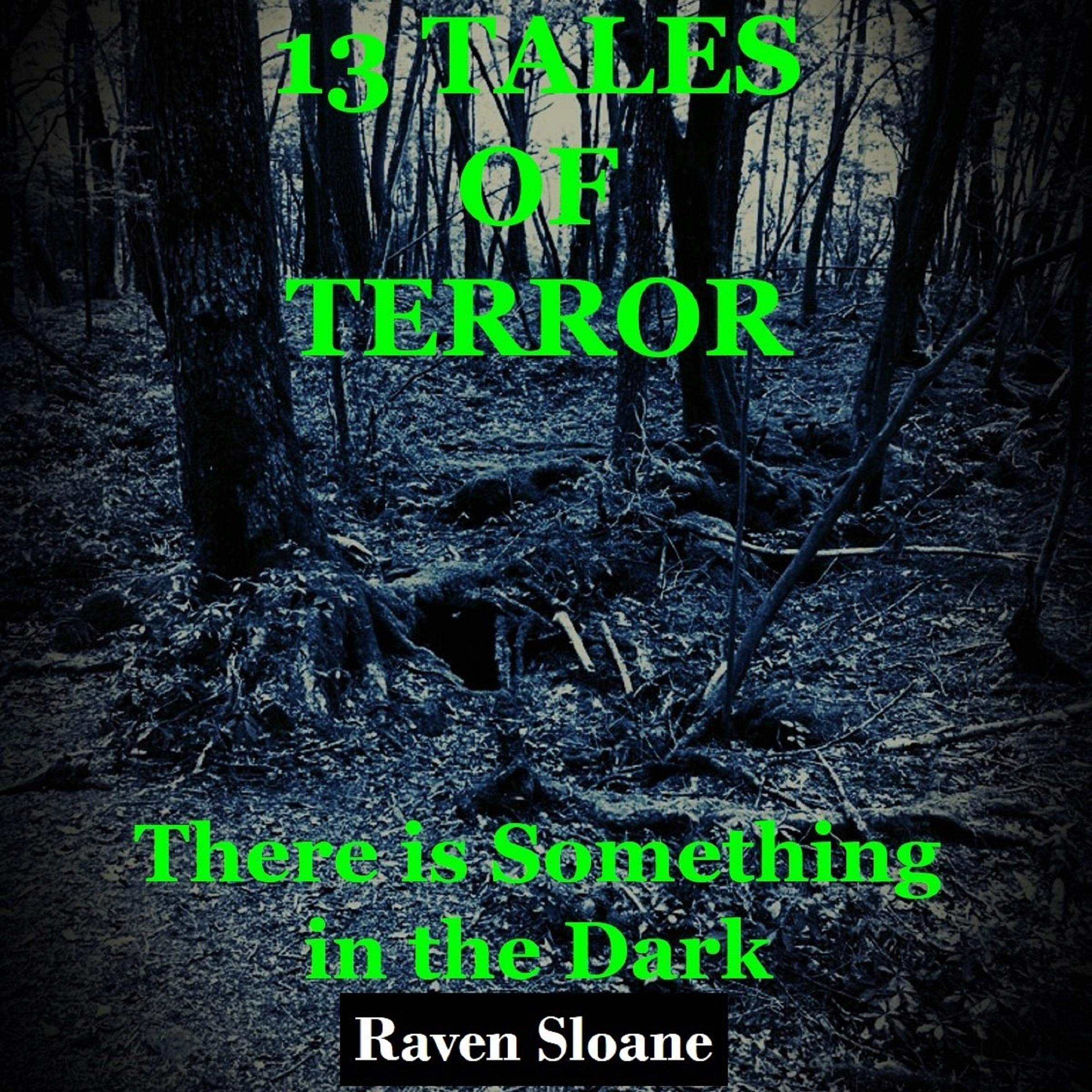 13 Tales of Terror: There Is Something in the Dark