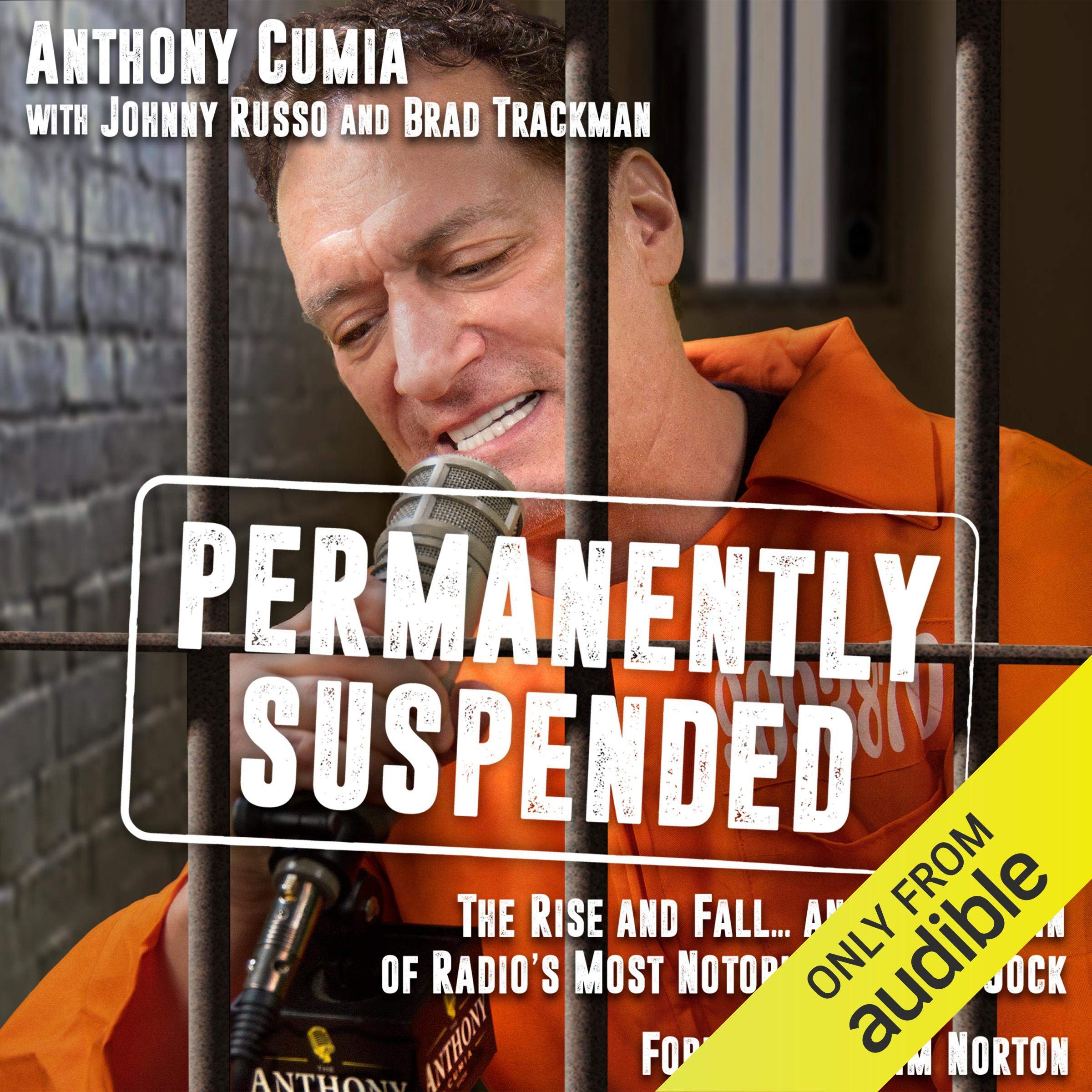 Buy Permanently Suspended: The Rise and Fall... and Rise Again of Radio