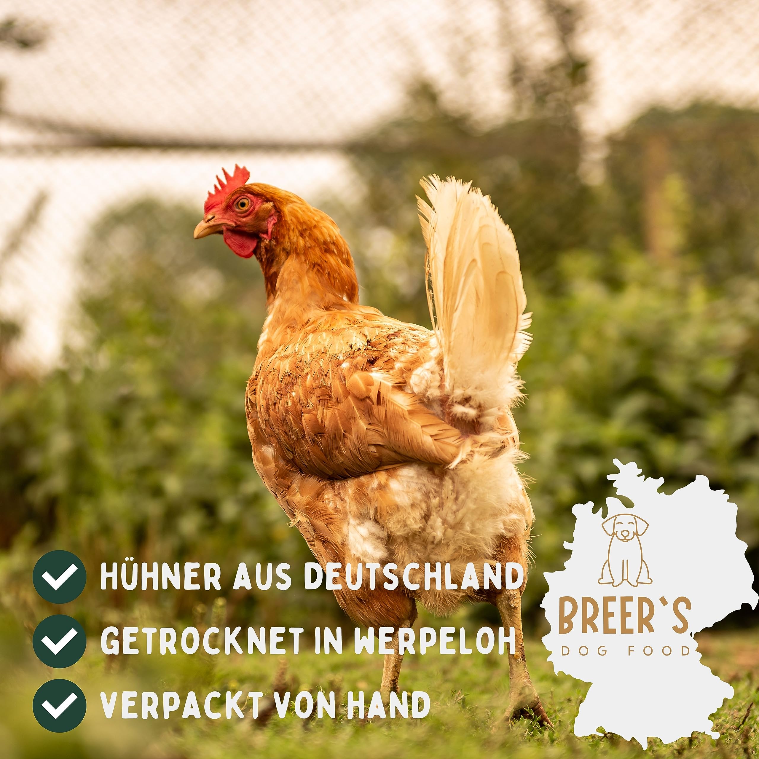 BREERs Hühnerfüße Hund getrocknet - Kausnack 5 kg aus Deutschland