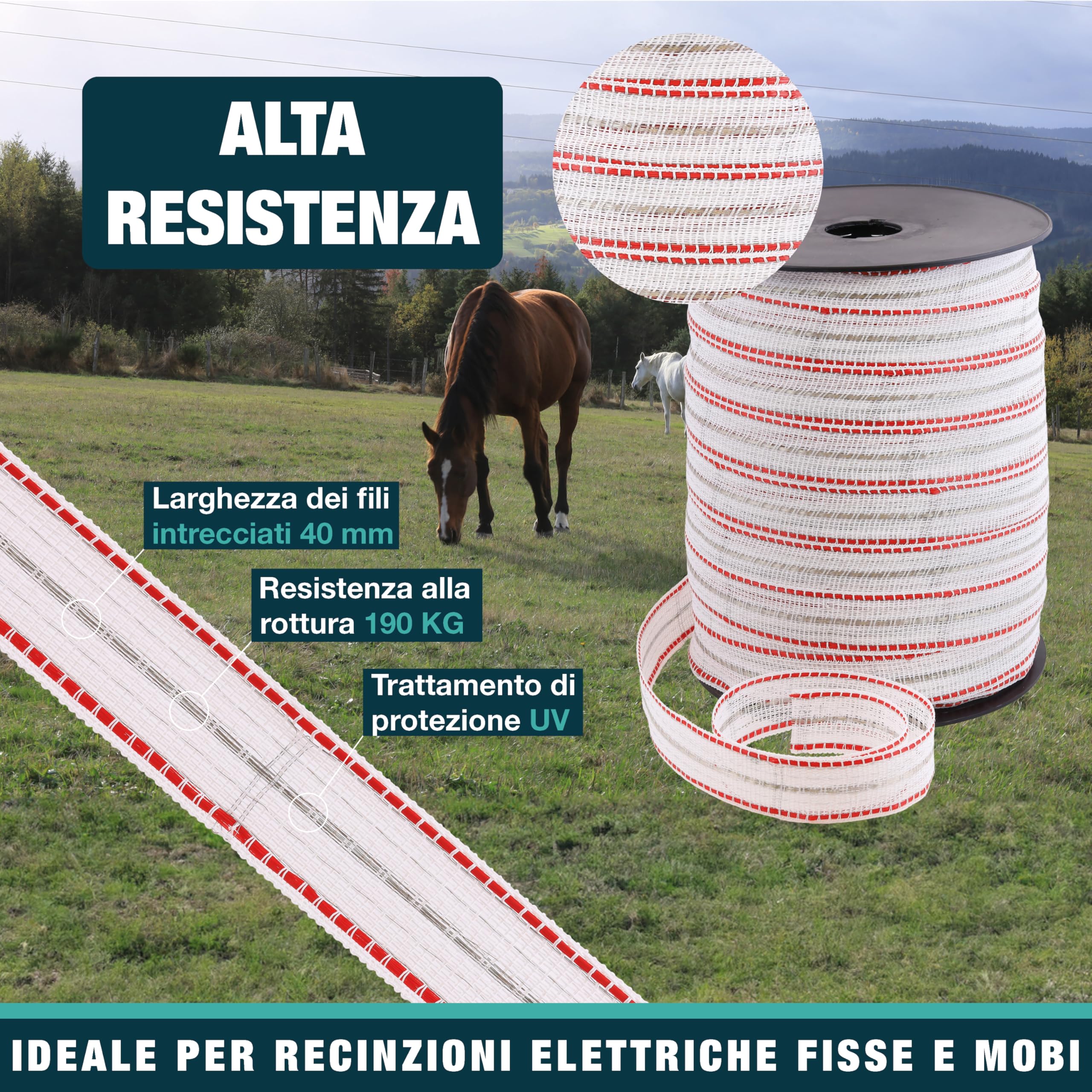 Nastro ZZ 40 mm - Recinzione elettrica per animali (mucca, capra, pecora, cavallo) - Bobina da 200 m - 11 fili in acciaio inox diametro 0,20 mm e 3 fili rame diametro 0,30 mm