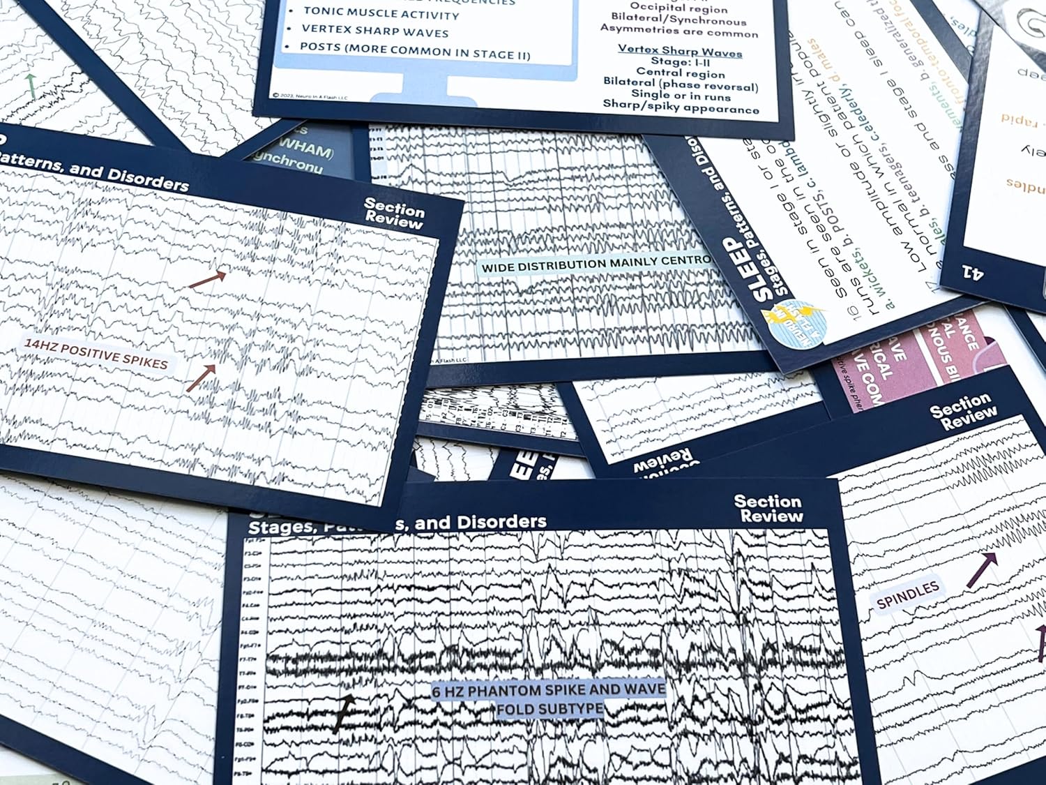 EEG Tech Flashcards "Sleep Stages, Patterns, and Disorders" Study Material for Neurodiagnostic Technologists, Neurology Flash cards, Read EEG Text Electroencephalogram Tracing Interpretation