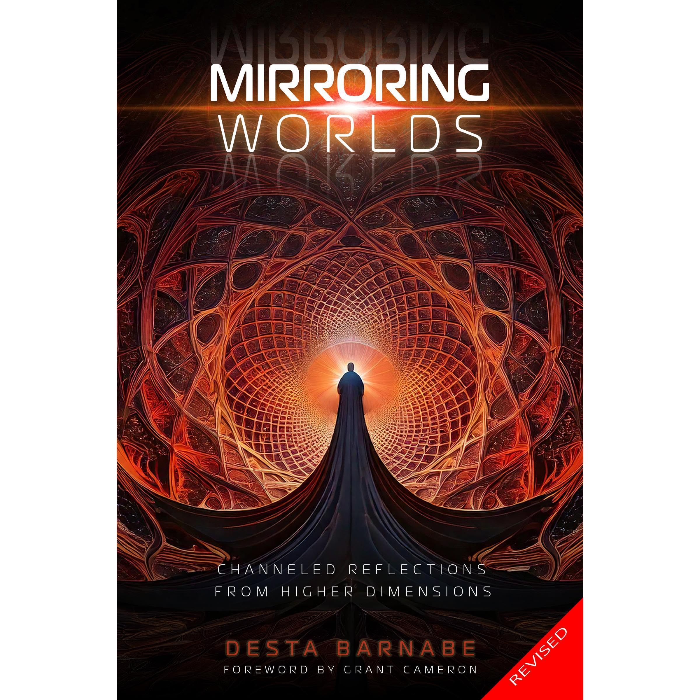 Mirroring Worlds