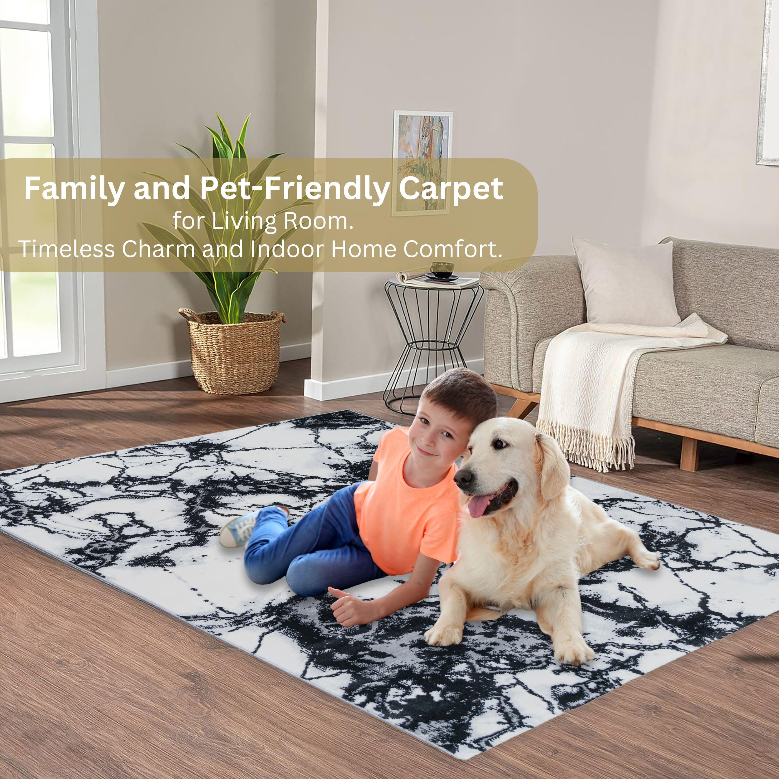 https://m.media-amazon.com/images/I/916ioCBBliL.jpg
