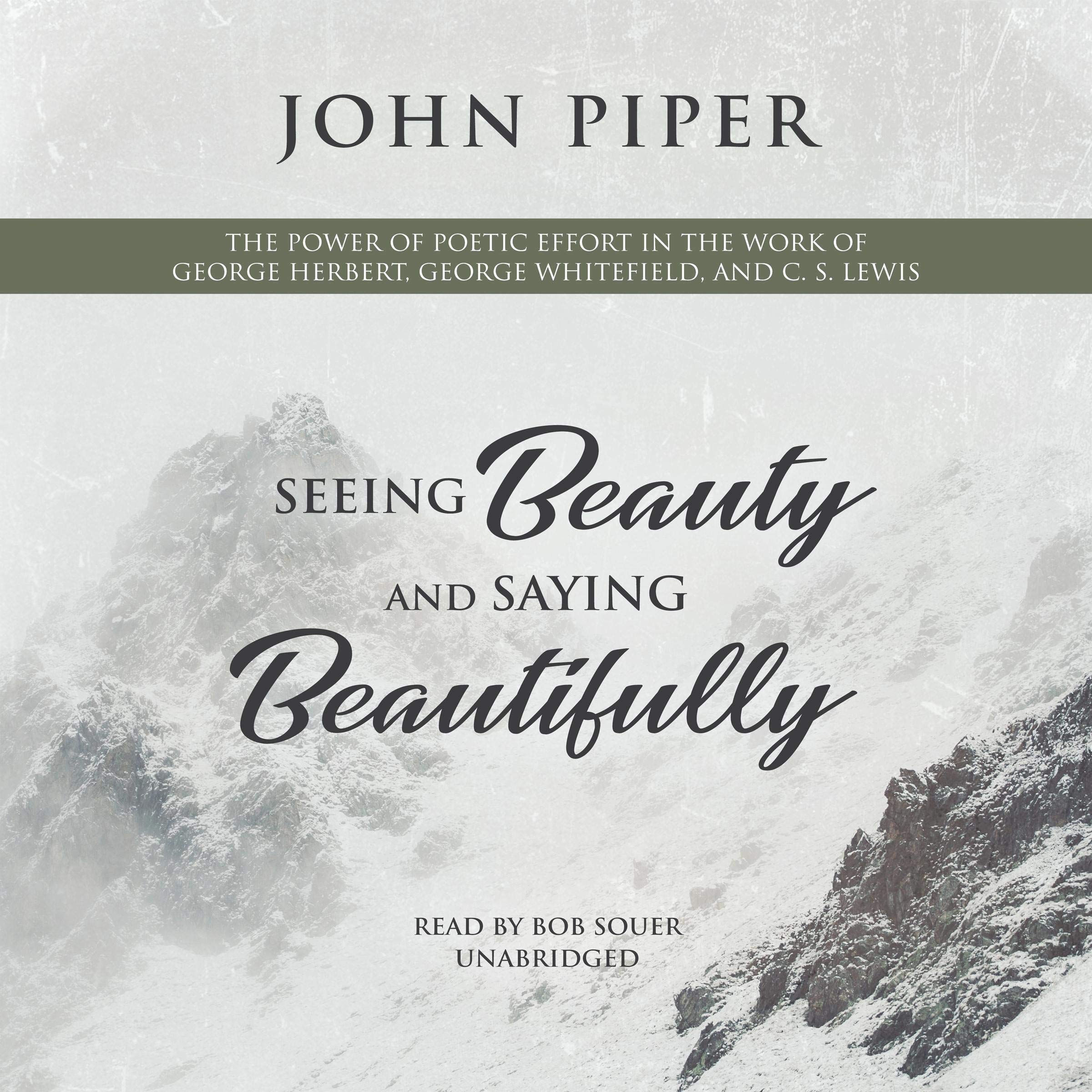 Cover art for Seeing Beauty and Saying Beautifully