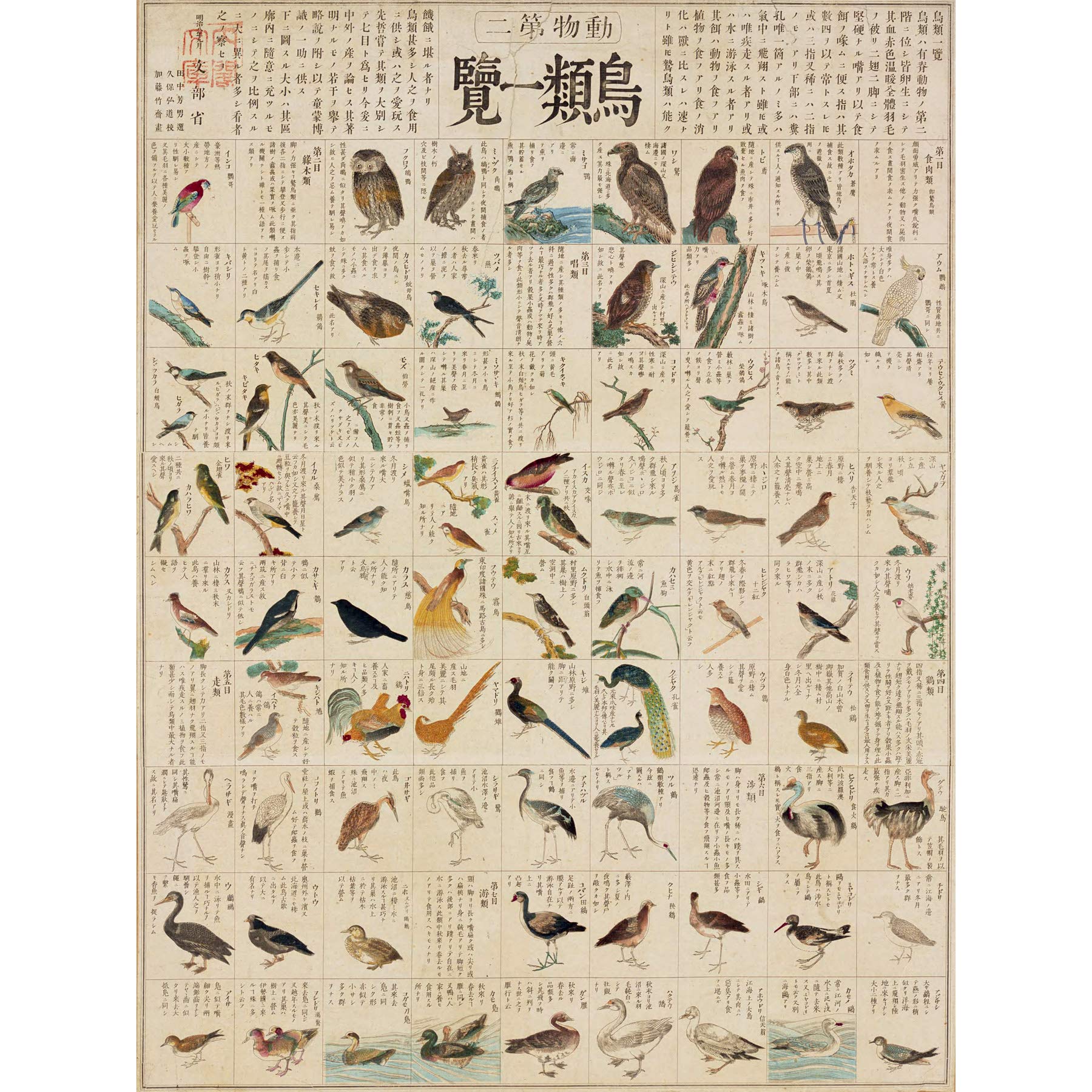 Artery8 Kato Chikusai Species of Birds Japanese Premium Wall Art Canvas Print 18X24 Inch