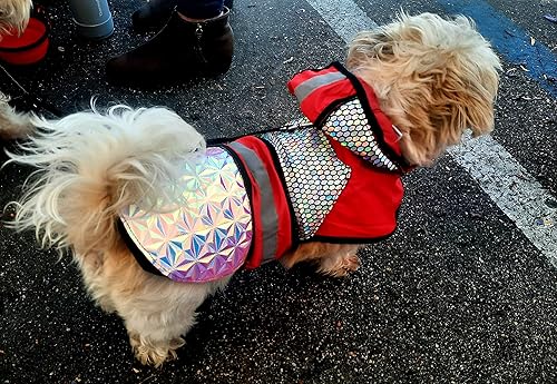 Miniatura 4 de Birds of Prey Away Raptor - Chaqueta de seguridad Eagle Armour transparente add-on Tallon Shield L