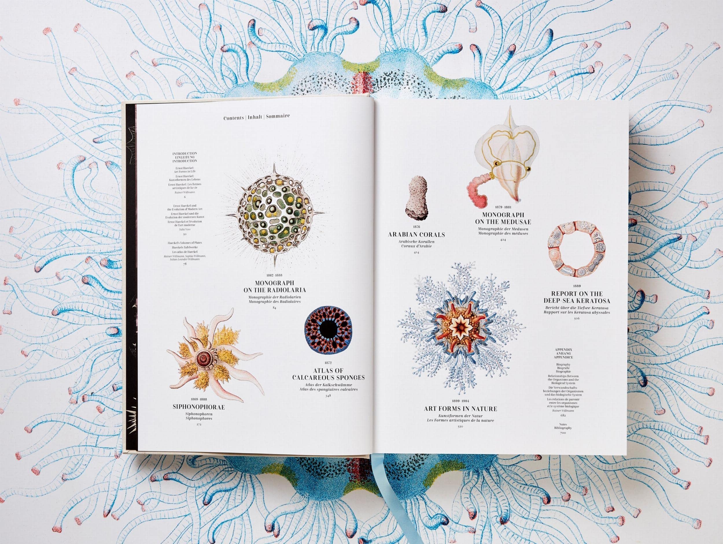The Art and Science of Ernst Haeckel: The Complete Plates