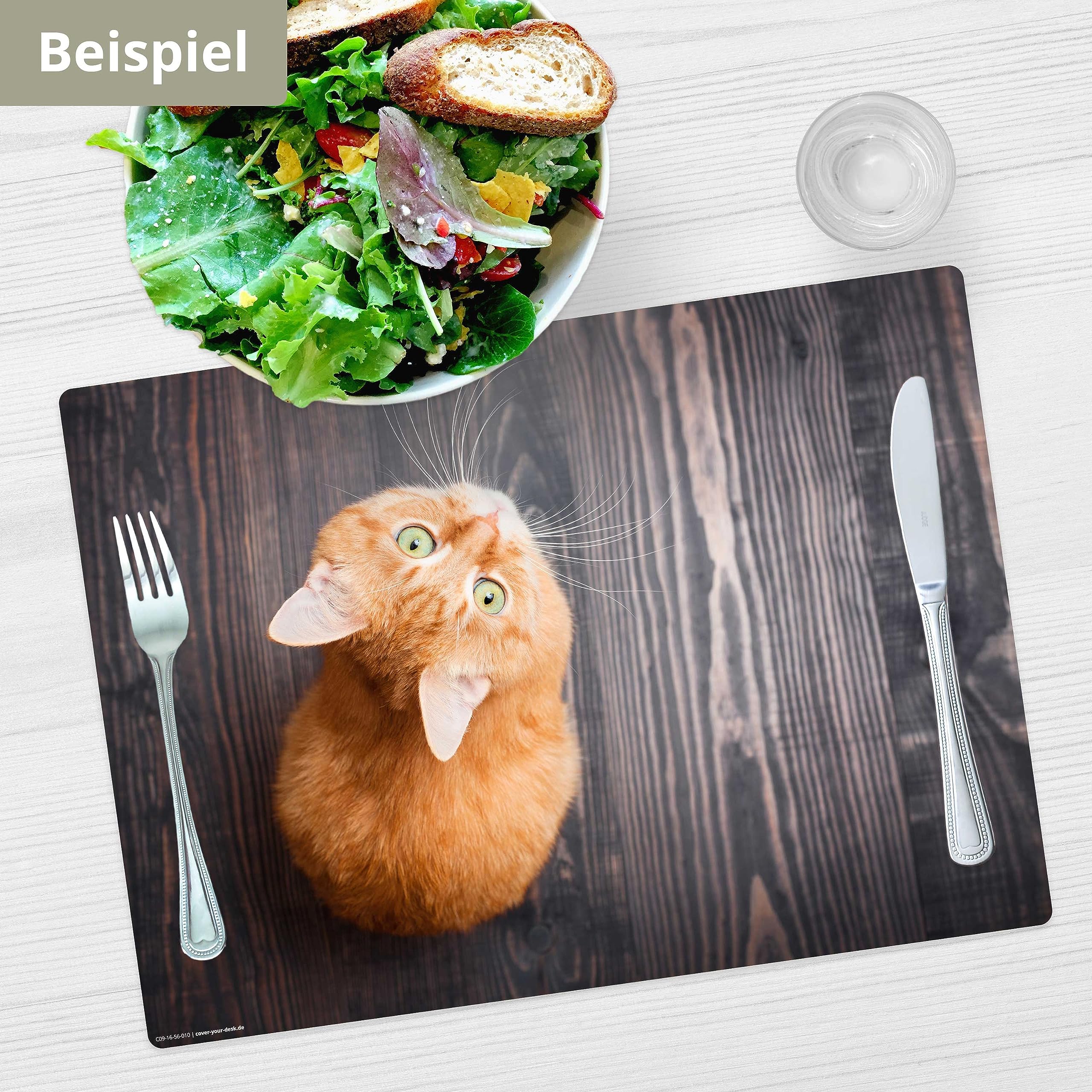 4er-Set Lustige Katzen-Platzsets, 30,5 X 45,7 Cm, Hitzebeständig, Waschbar, Aus Polyester, Für Küche & Esstisch