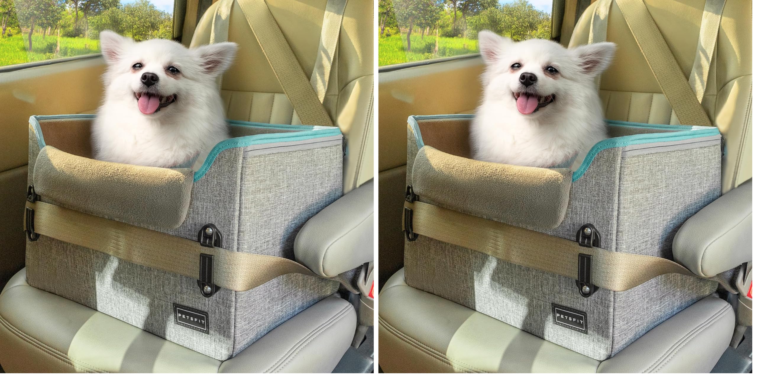 Amazon.co.jp: Petsfit 犬 ドライブボックス 小型犬 2重の安定設計