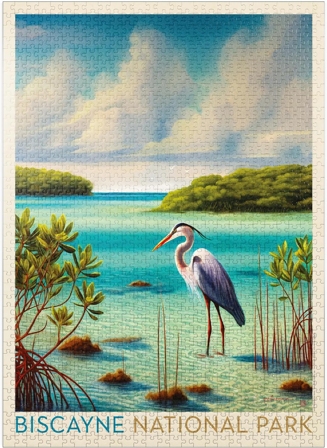 MyPuzzle Biscayne National Park: Among The Mangroves - Premium 500 Piece Jigsaw Puzzle for Adults