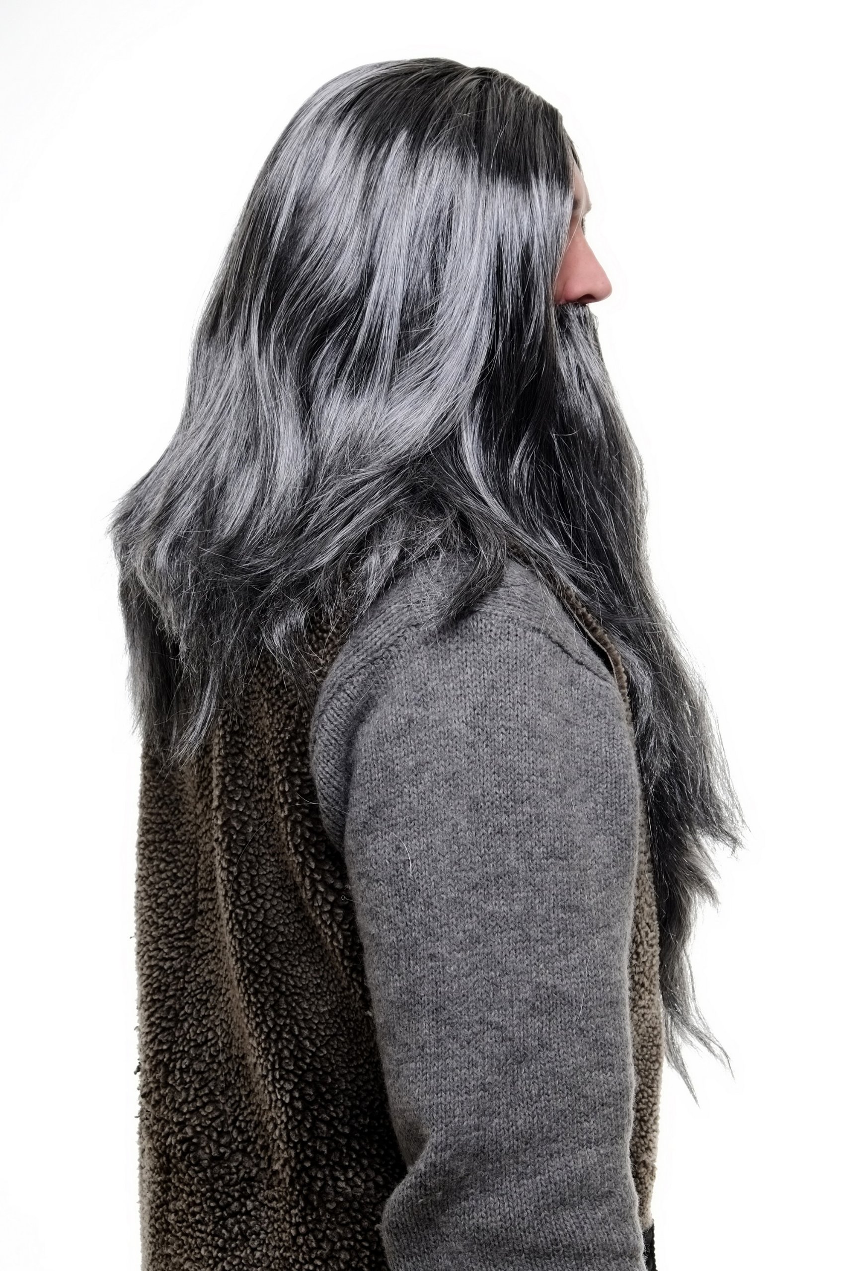 Perruque Et Barbe De Sorcier Gris - Déguisement Magicien - Carnaval, Cosplay, Halloween