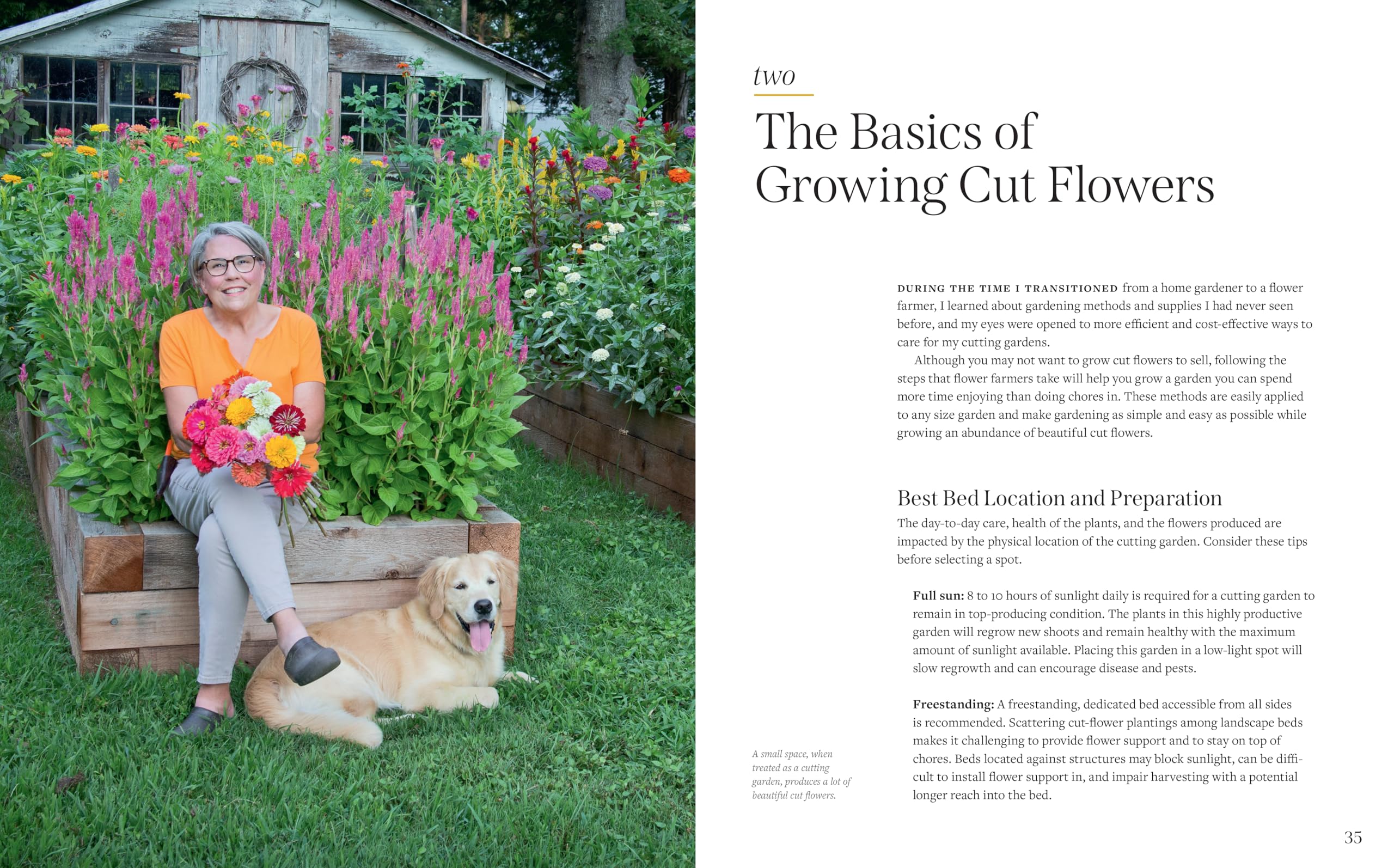 Cut Flower Handbook: Select, Plant, Grow, and Harvest Gorgeous Blooms