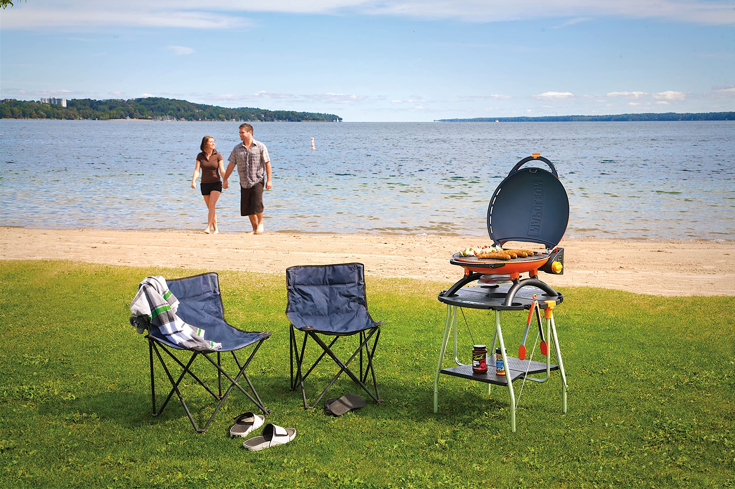 Amazon.com : Napoleon TravelQ Stand for 2225 Portable Grill