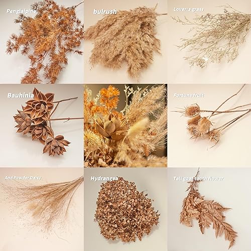 Miniatura 5 de mnmnzfzf 45 ramos de flores secas bohemias naturales, hortensias de hierba de pampa marrón, boda, decoración de sala de estar, mesa familiar de