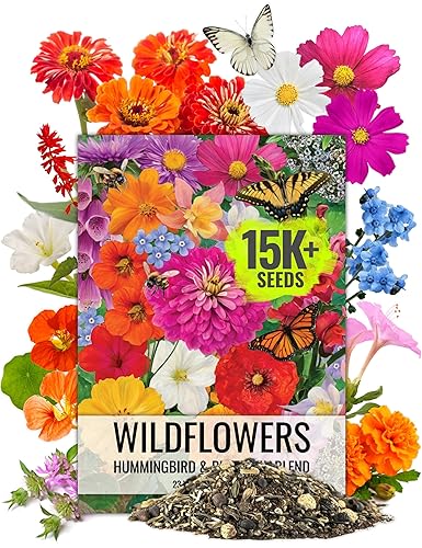 Seed Needs Flower Seeds Hummingbird and Butterfly Seed Mix 1