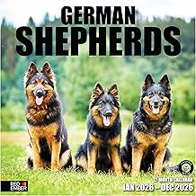 RED EMBER German Shepherds 2026 Wall Calendar 12 Month | 12" x 24" Open | Thick & Sturdy Paper | Holiday Gift | Cute Puppy Dog Calendar 2026