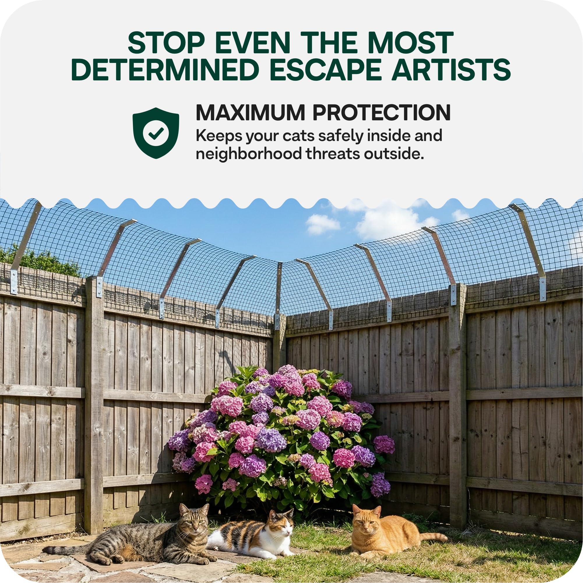 MISCHOME Catio - Kit di sicurezza per recinzioni a prova di gatto, per giardino (kit da 10 metri)