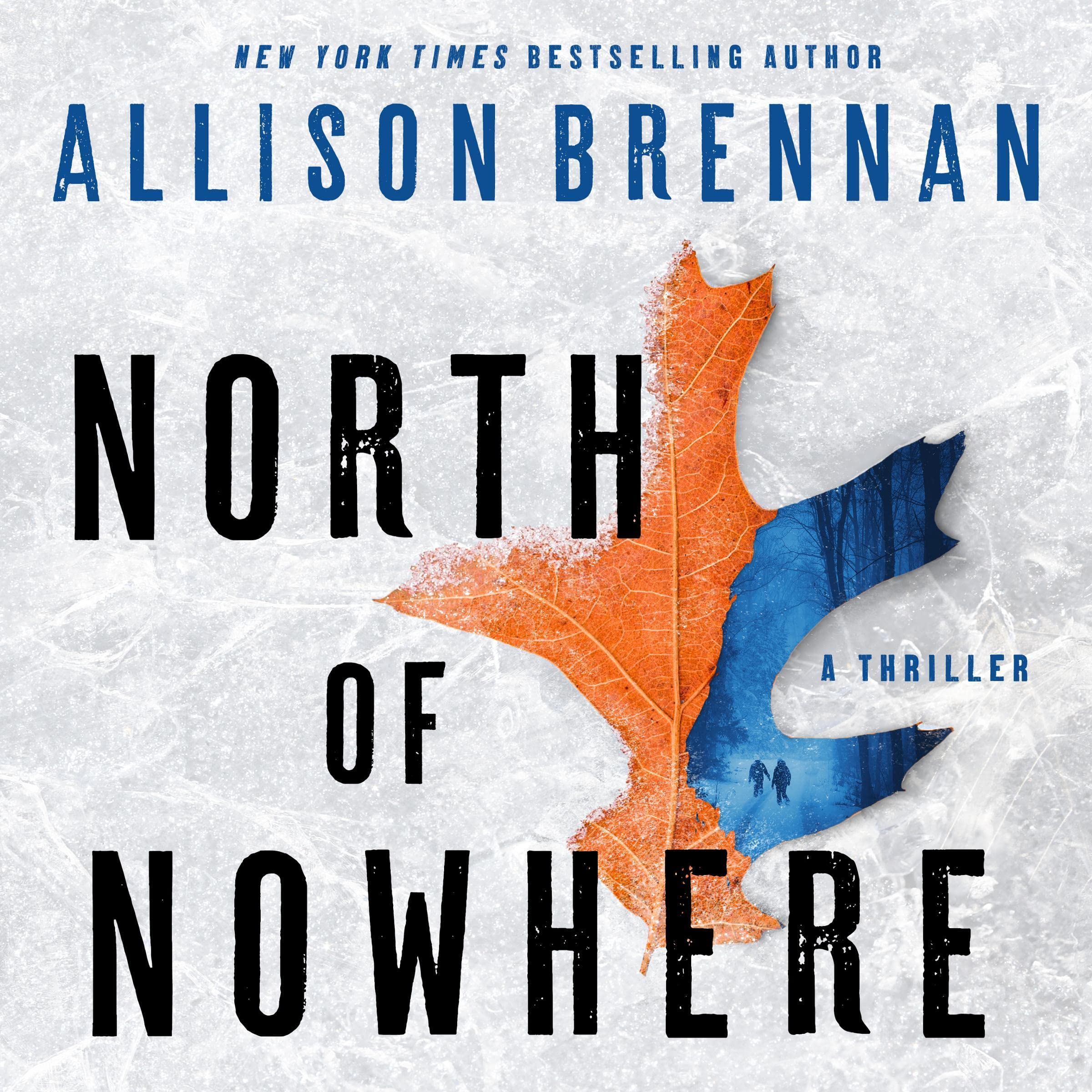 Cover art for North of Nowhere