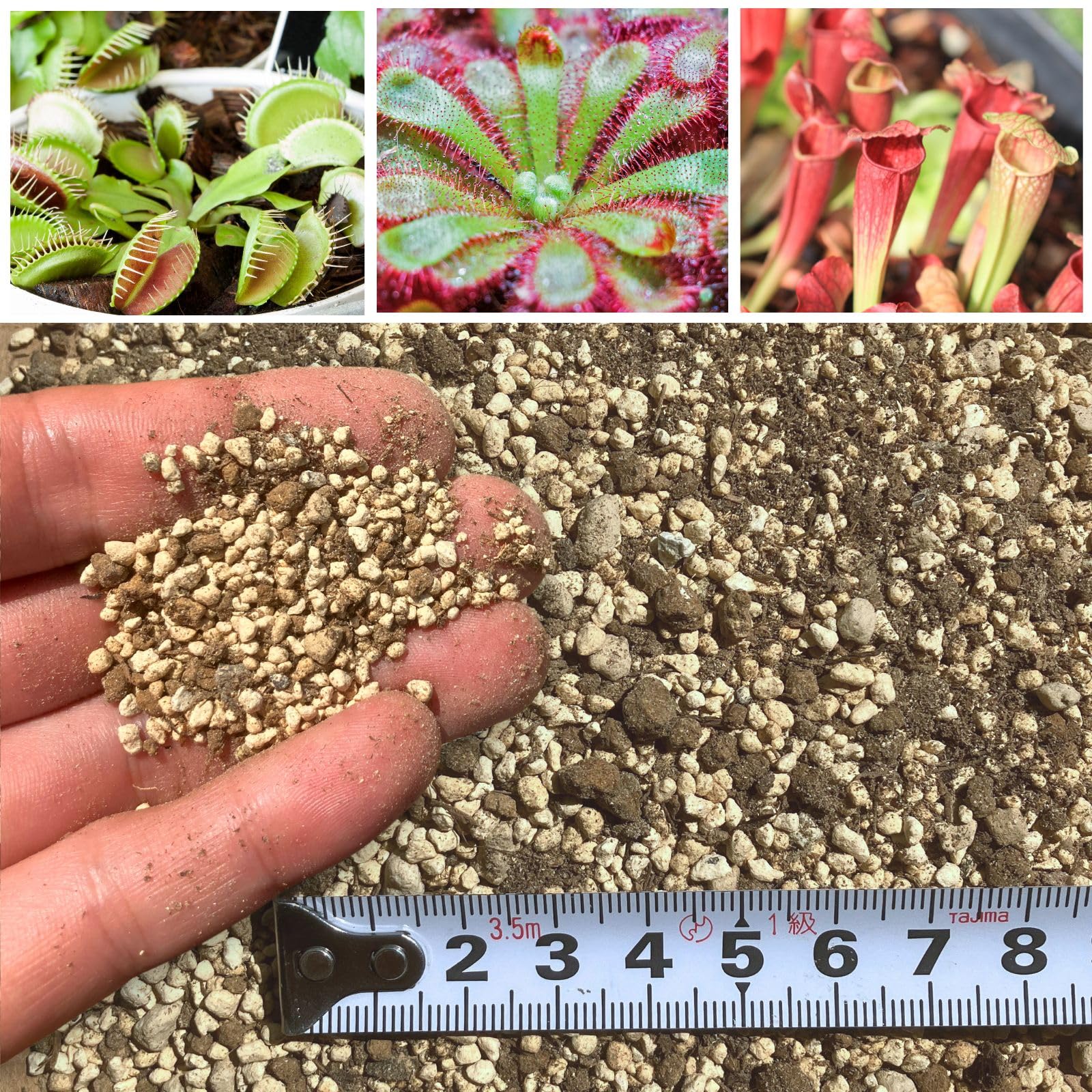 Amazon | Leap Raupe 多肉植物 観葉植物 土 多肉植物の土 観葉