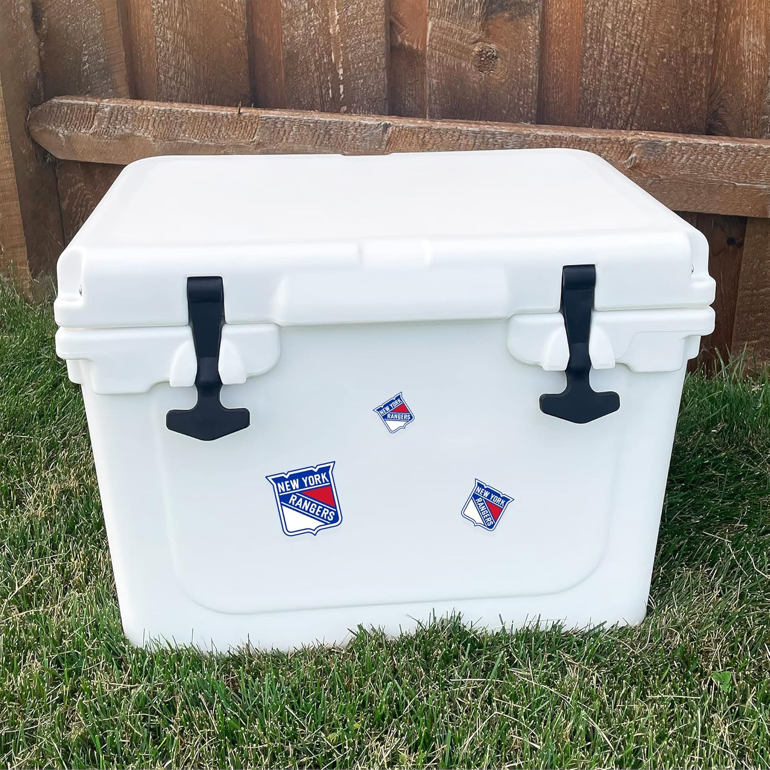 Desert Cactus New York Rangers Sticker NHL Team National Hockey League Vinyl Decal Laptop Water Bottle Car Scrapbook Sheet (Type 3 - Main Logo) - Image 5