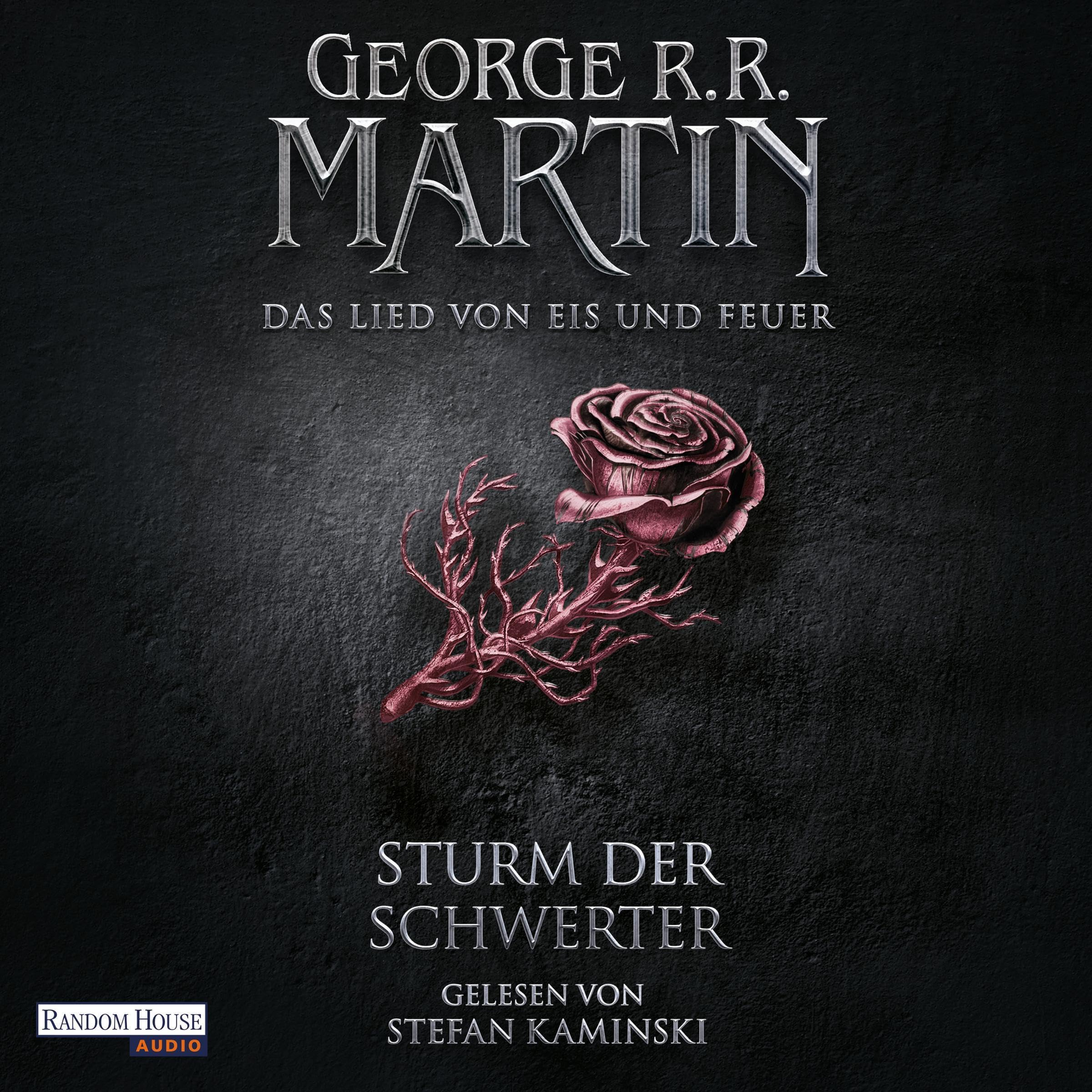 Cover art for Sturm der Schwerter