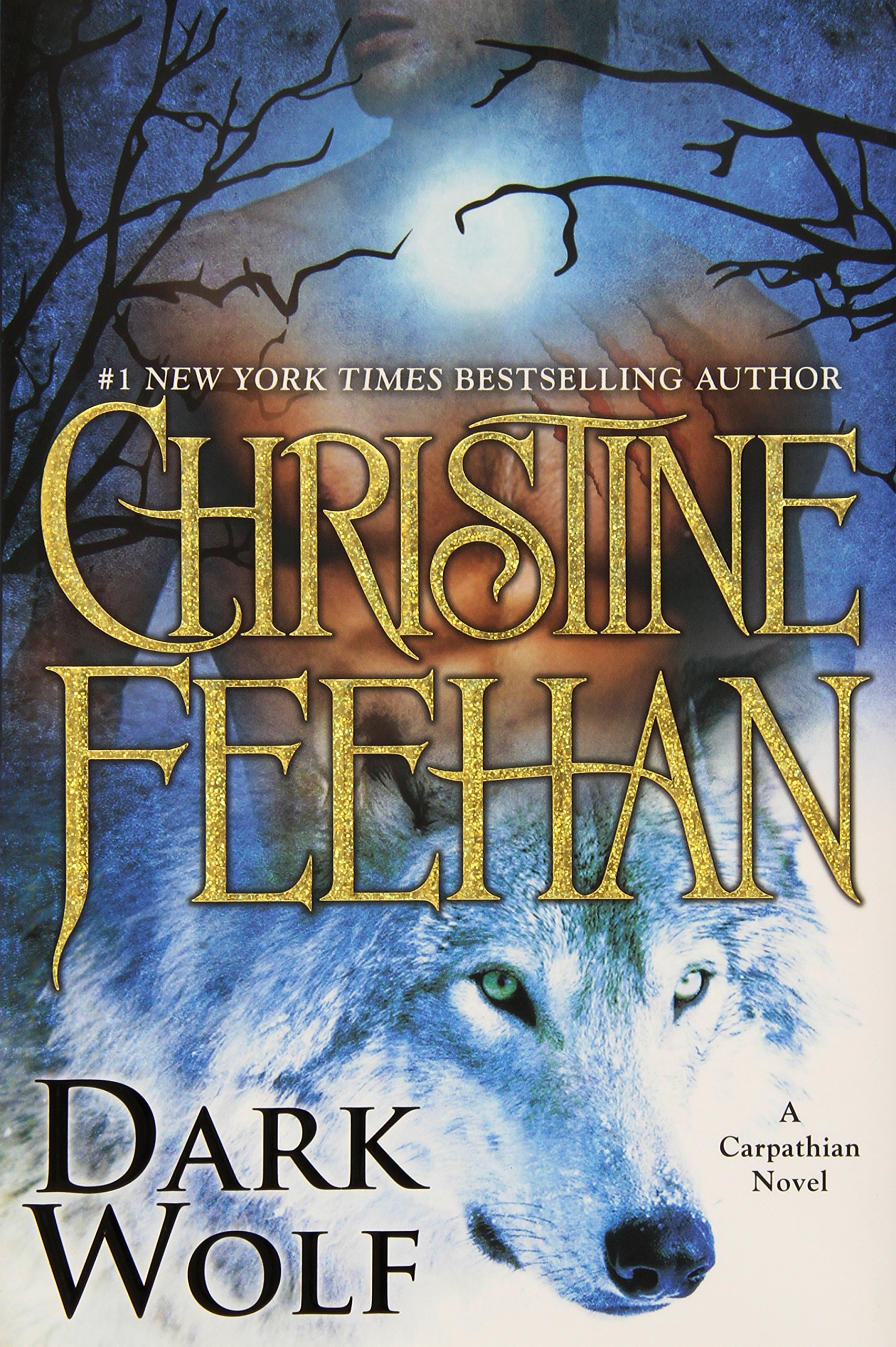 Dark Wolf (Dark Series, 25)