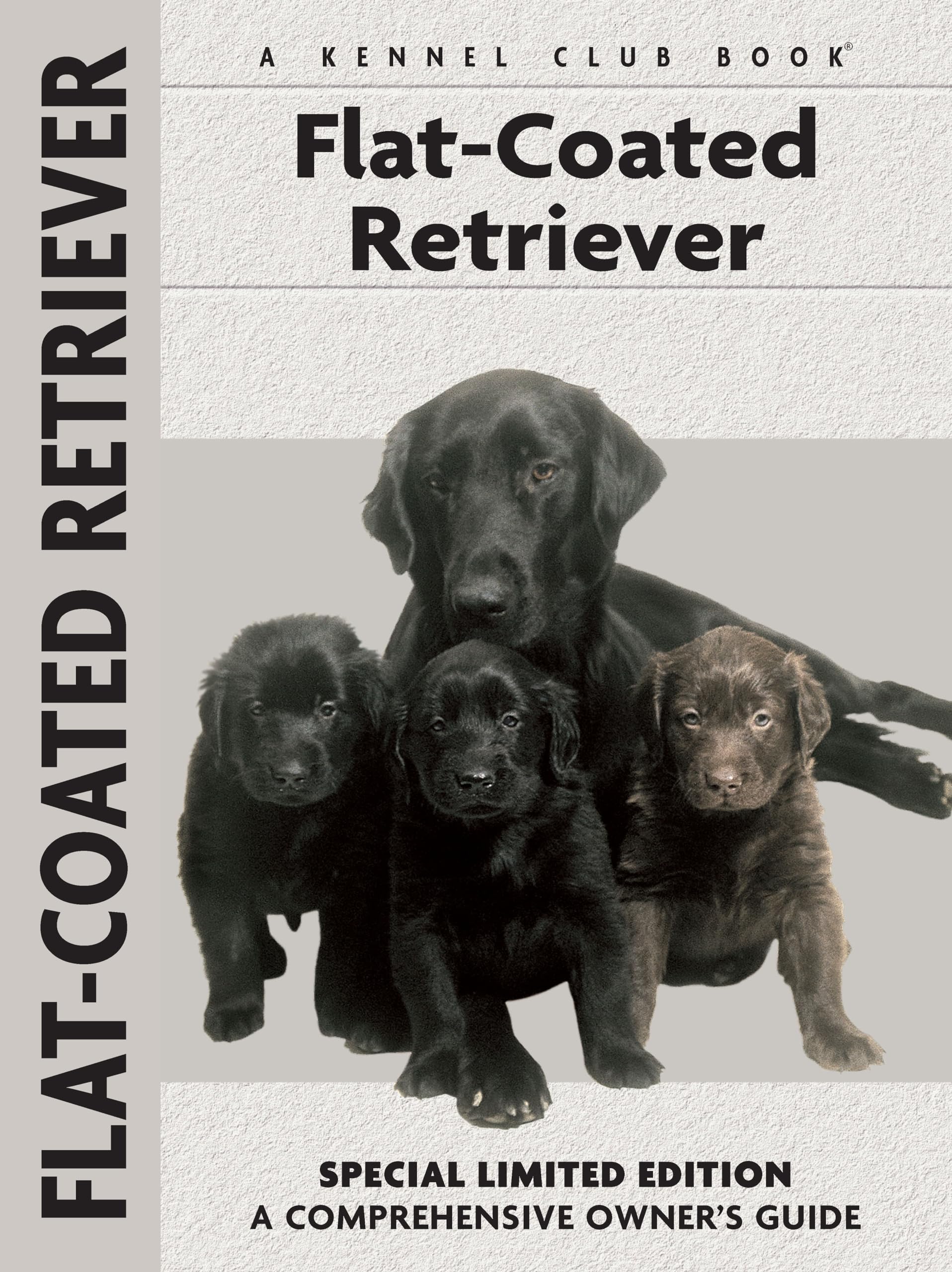 Shop flat haired retriever for sale Deals