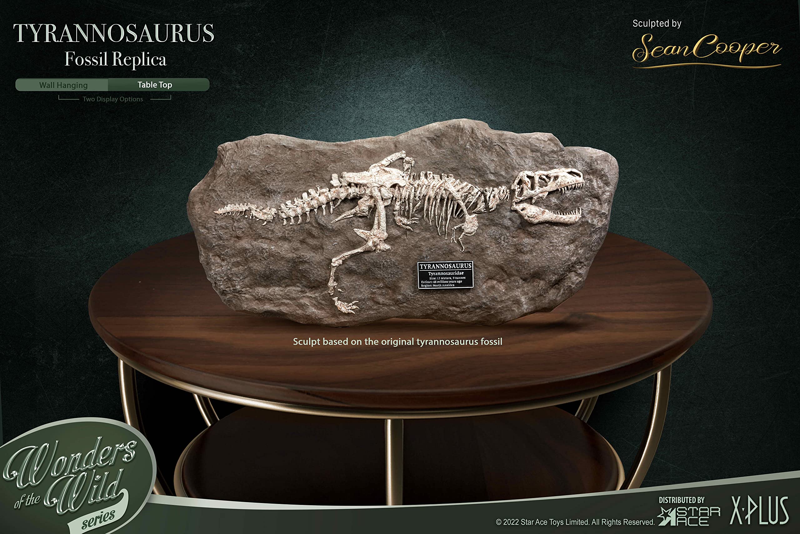 Maravillas de la serie salvaje T-REX réplica de fósiles