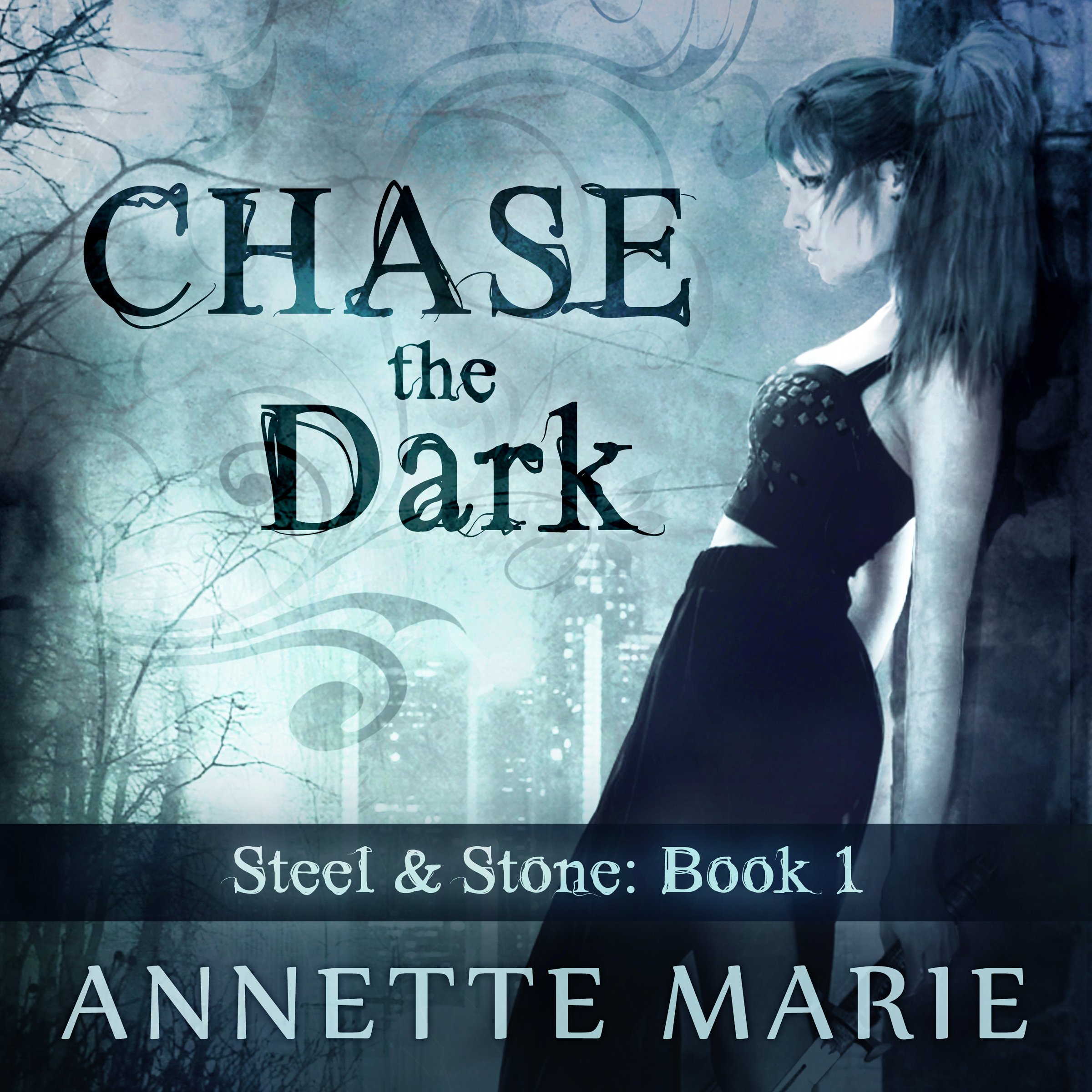 Cover art for Chase the Dark