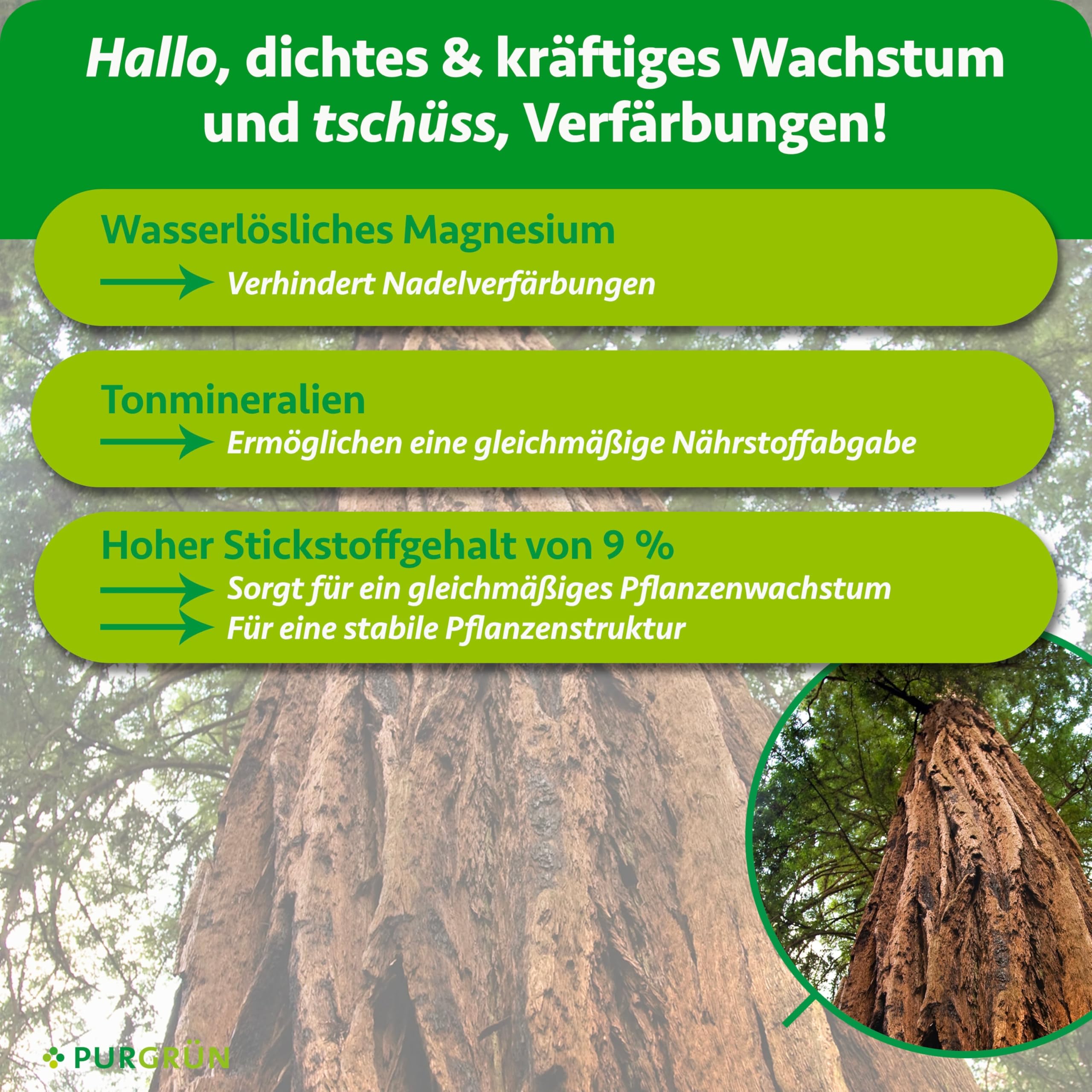 Mammutbaum-Dünger 1 kg – Extra Magnesium für schützt vor Nadelverfärbungen – Verbessert die Bodenqualität mit Tonmineralien – Feinkörniges Krümelgranulat für 3-4 Mammutbäume – chloridarm