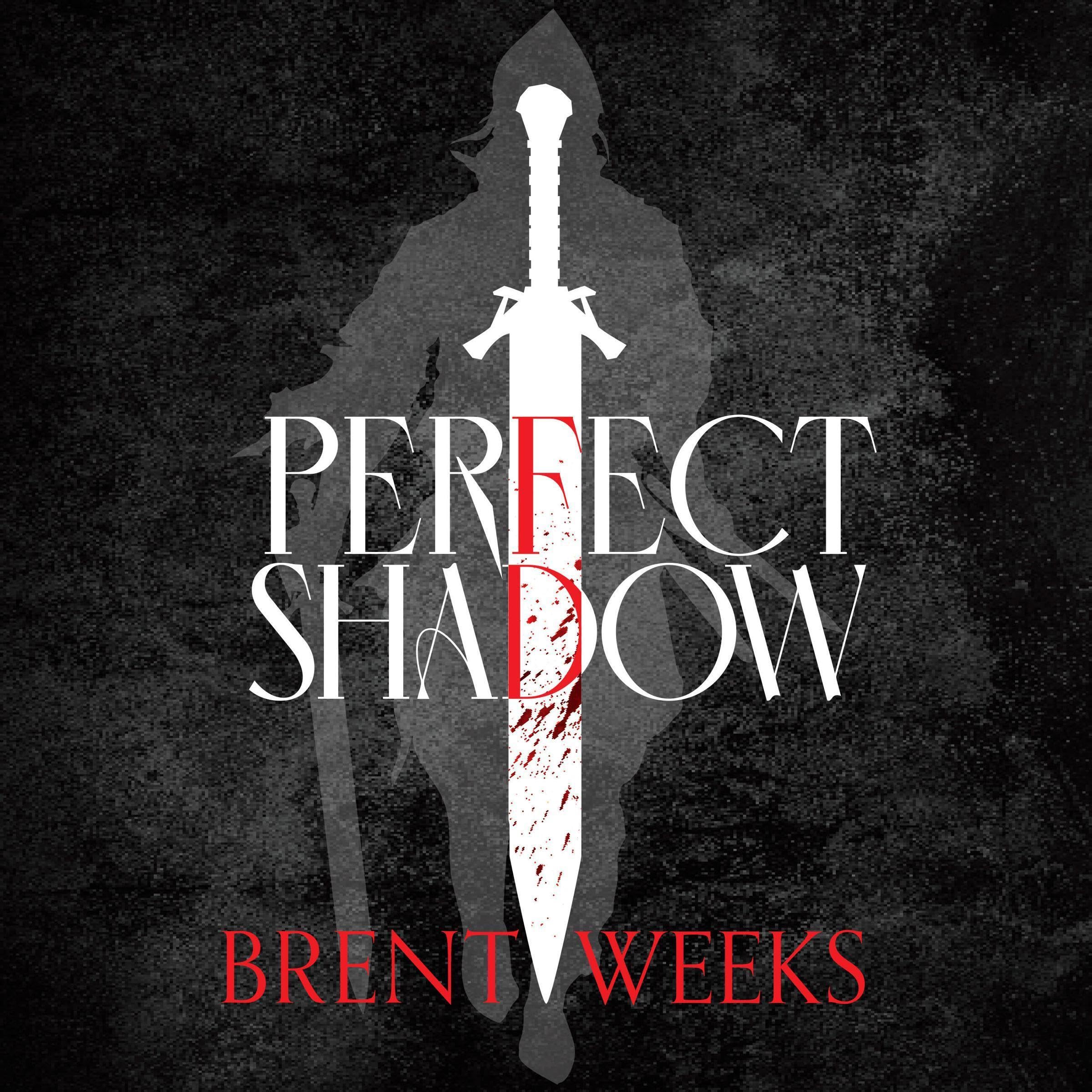 Perfect Shadow: A Night Angel Novella