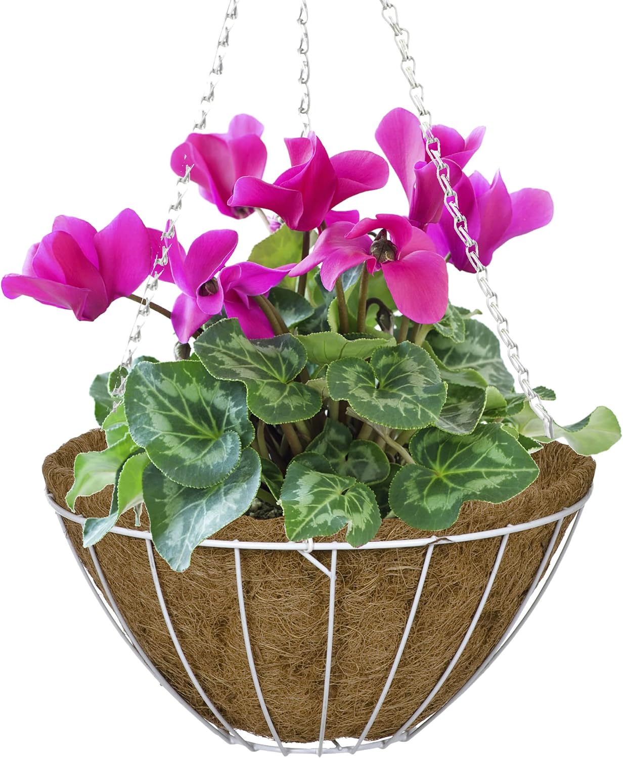 Black 16-Inch Growers Hanging Basket HGB16-B