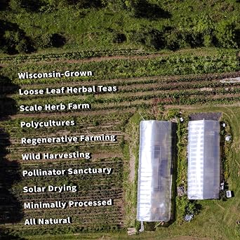 Milky Oats, Organically Grown in Wisconsin | 5.6 oz | 79 Servings | Sacred Blossom Farm | Herbal Tea & Medicinal Herbs | Loose Leaf | Regenerative Farming | Single Source | Avena Sativa