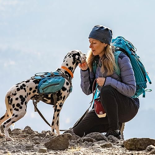 Miniatura 4 de Kurgo Bolsa de entrenamiento para perros, bolsas de golosinas para perros, bolsa portátil con clip de cintura para mascotas, bolsa reflectante para
