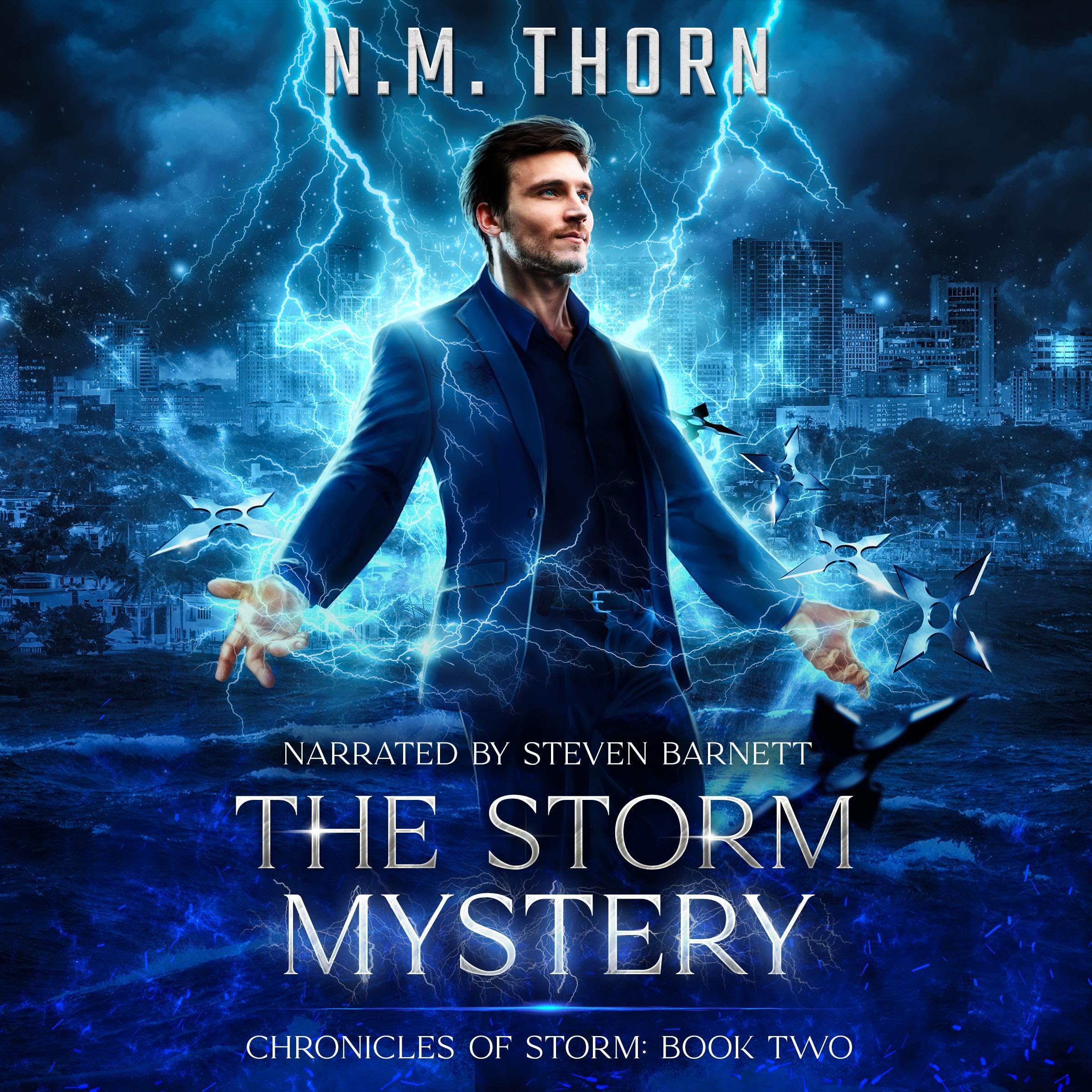 Cover art for The Storm Mystery
