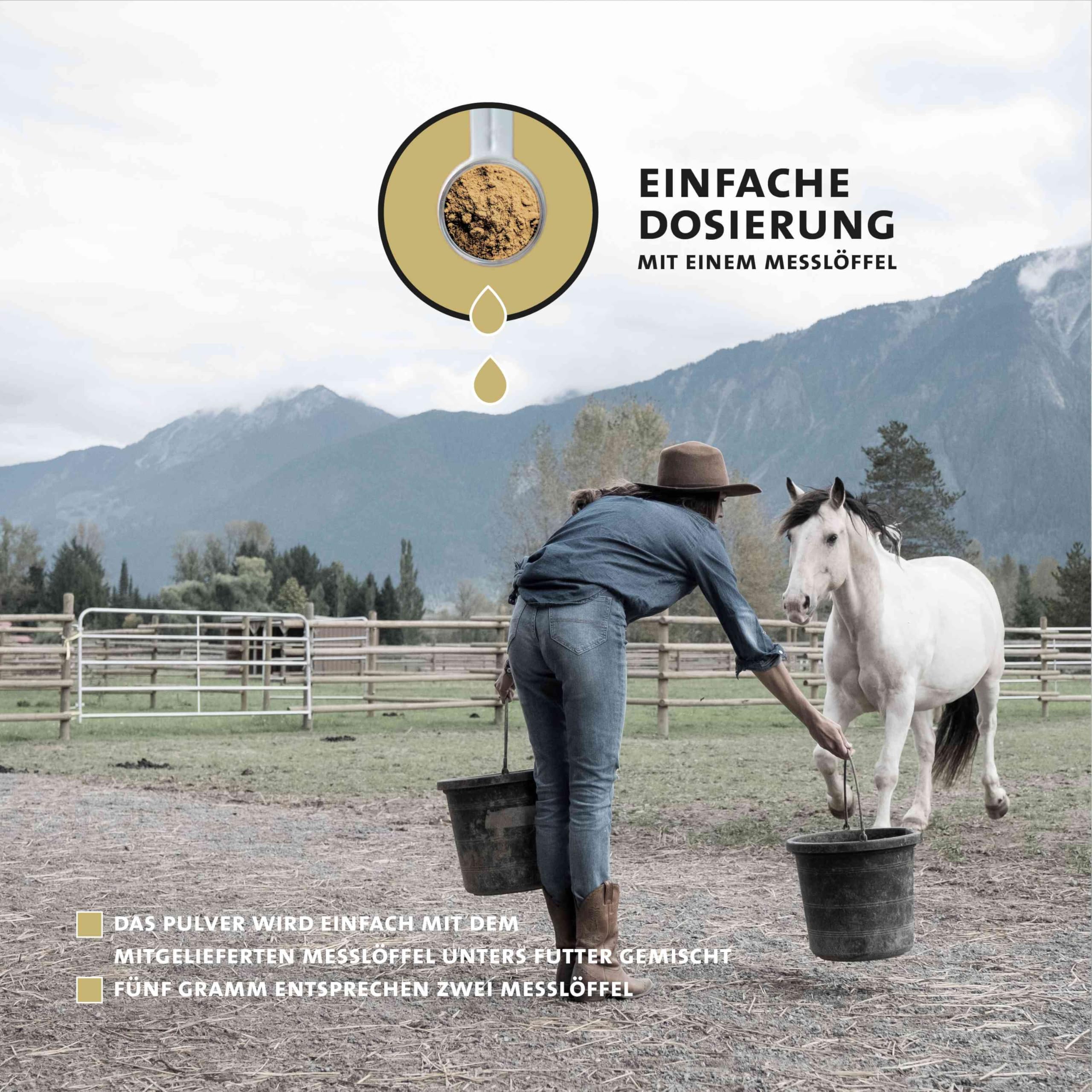 Peticare Wurm-Mix Pulver für Pferde | Natürliche Alternative, sekundierend zur Wurmkur & Wurmbefall | Für Pferde & Ponys | Pflanzliche Inhaltsstoffe mit Wurm-Kraut, Wermut | petHorse Health 4605