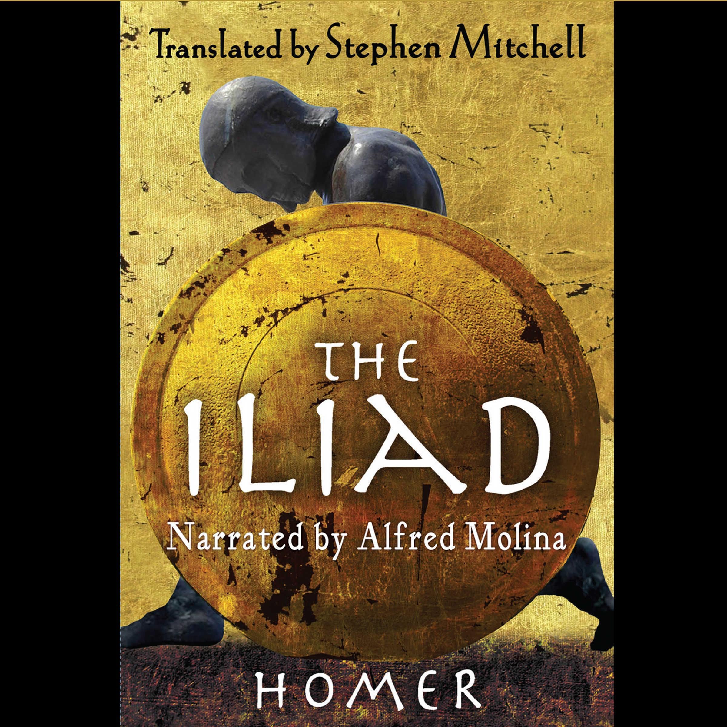 Cover art for The Iliad