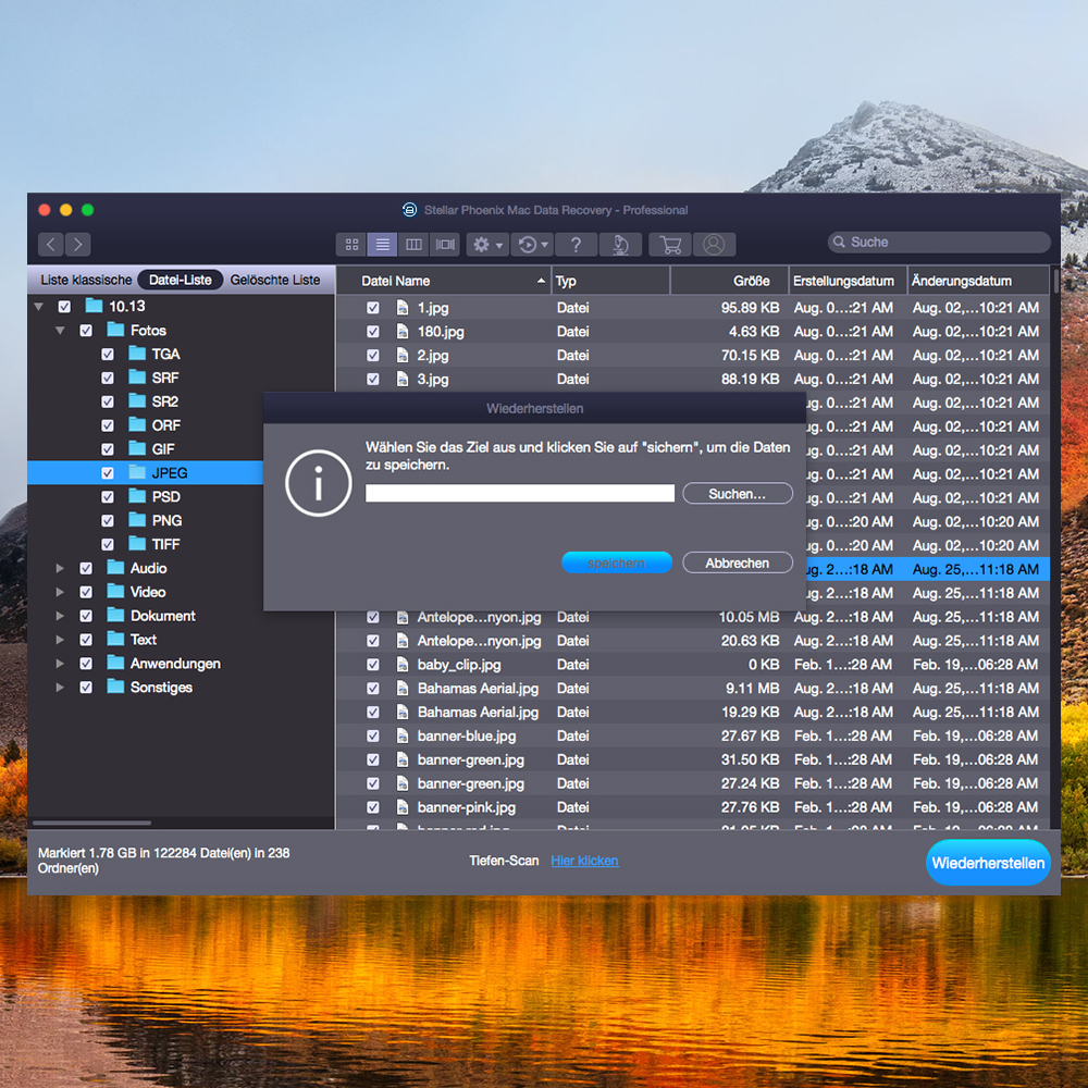 Stellar Phoenix Mac Data Recovery Professional [Download]