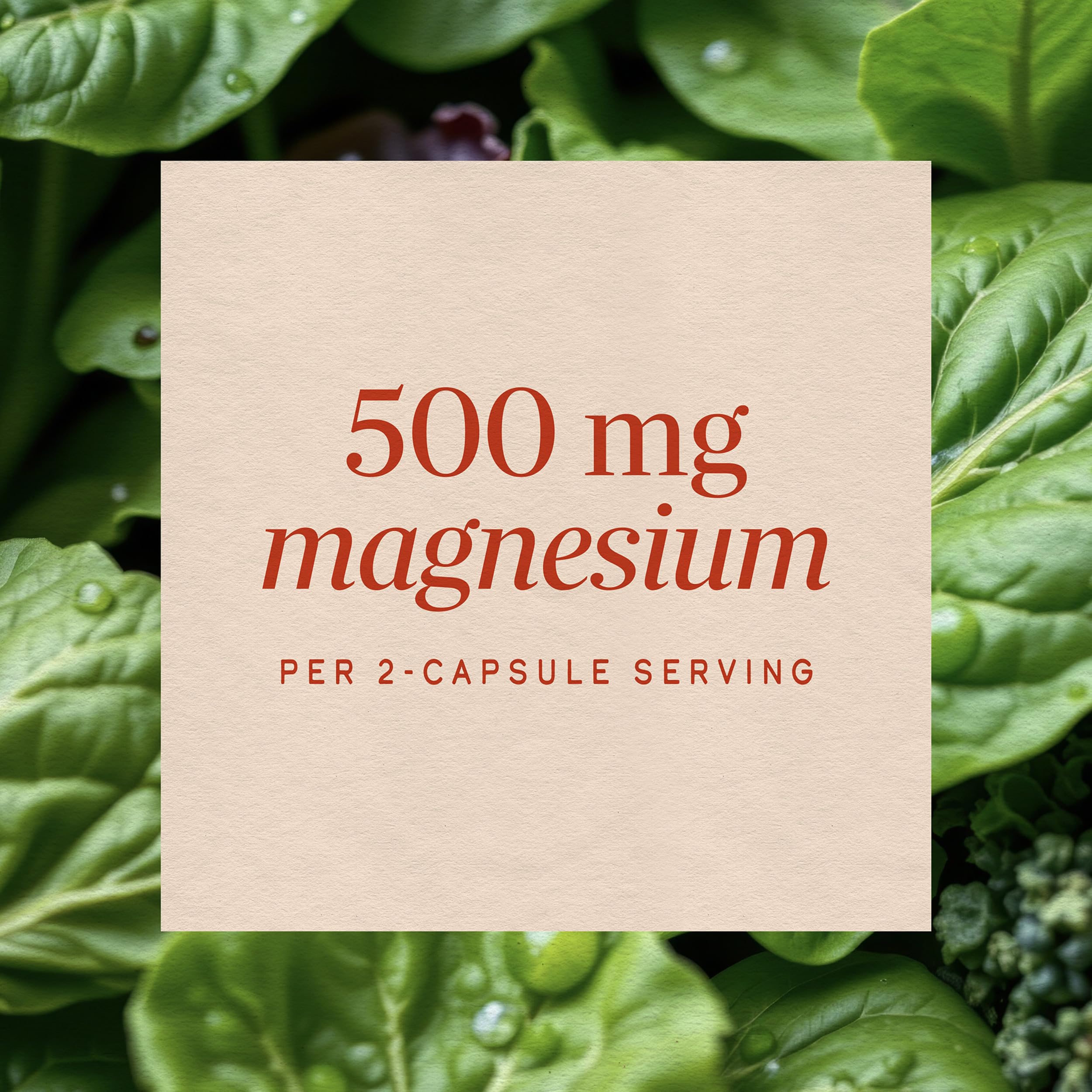 Nature's Way Magnesium Complex, Supports Muscle Relaxation*, 100 ct — Amazon image 4