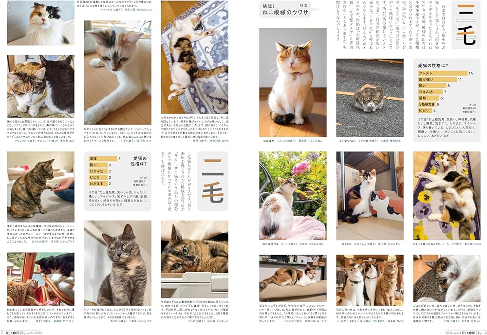 特別付録：2026カレンダー】ネコまる 2026年冬春号 vol.51