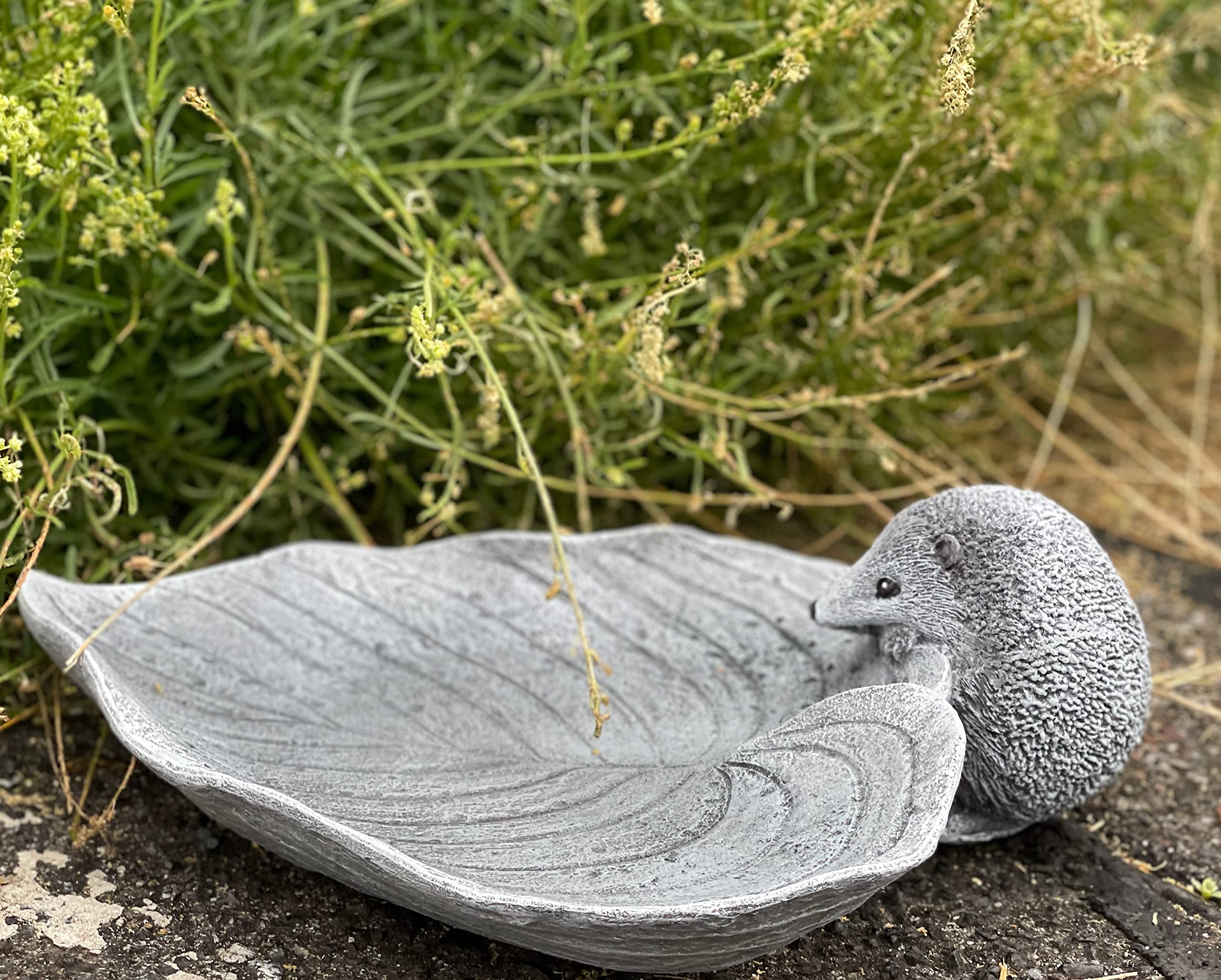 stoneandstyle Bebedero para pájaros, insectos, erizo sobre hoja, piedra fundida, resistente a las heladas