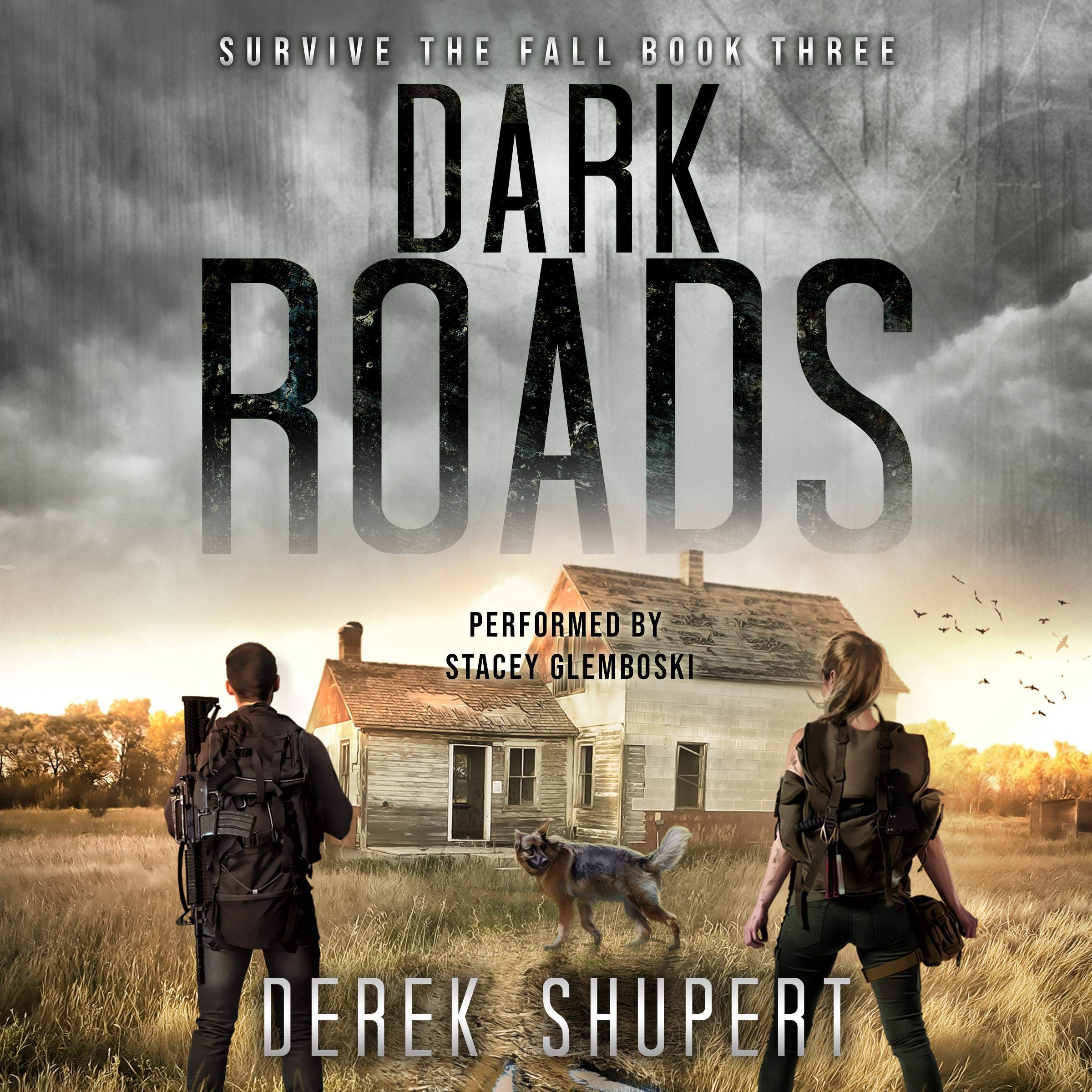Cover art for Dark Roads: A Post-Apocalyptic Survival Thriller