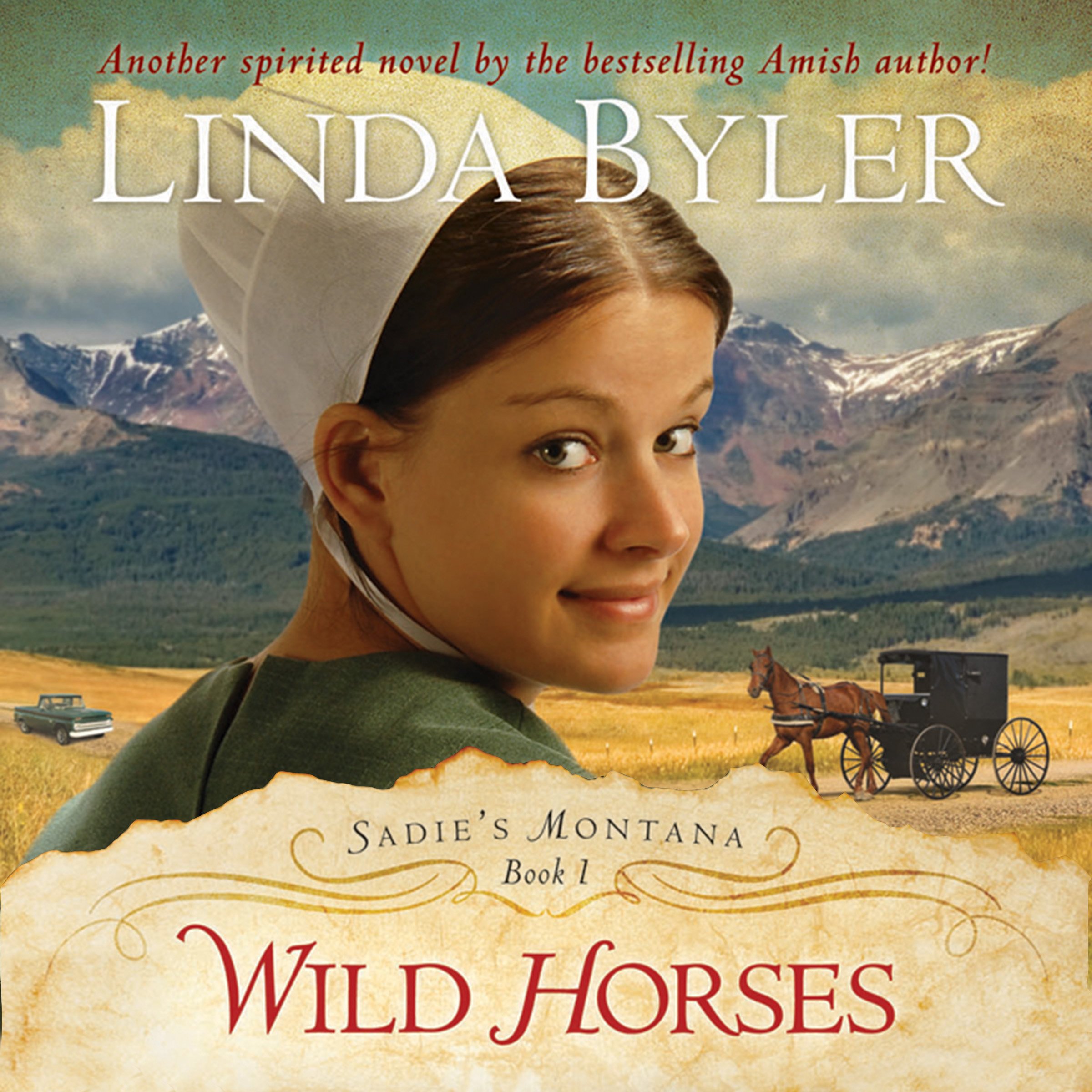 Cover art for Wild Horses