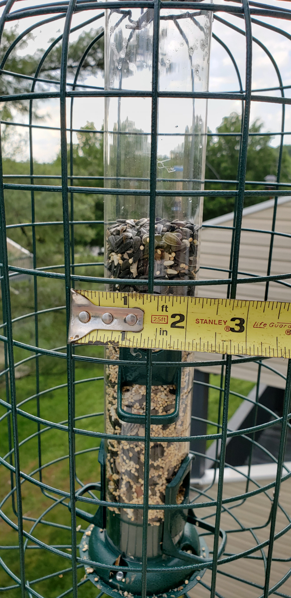 Great solution for TINY birds!