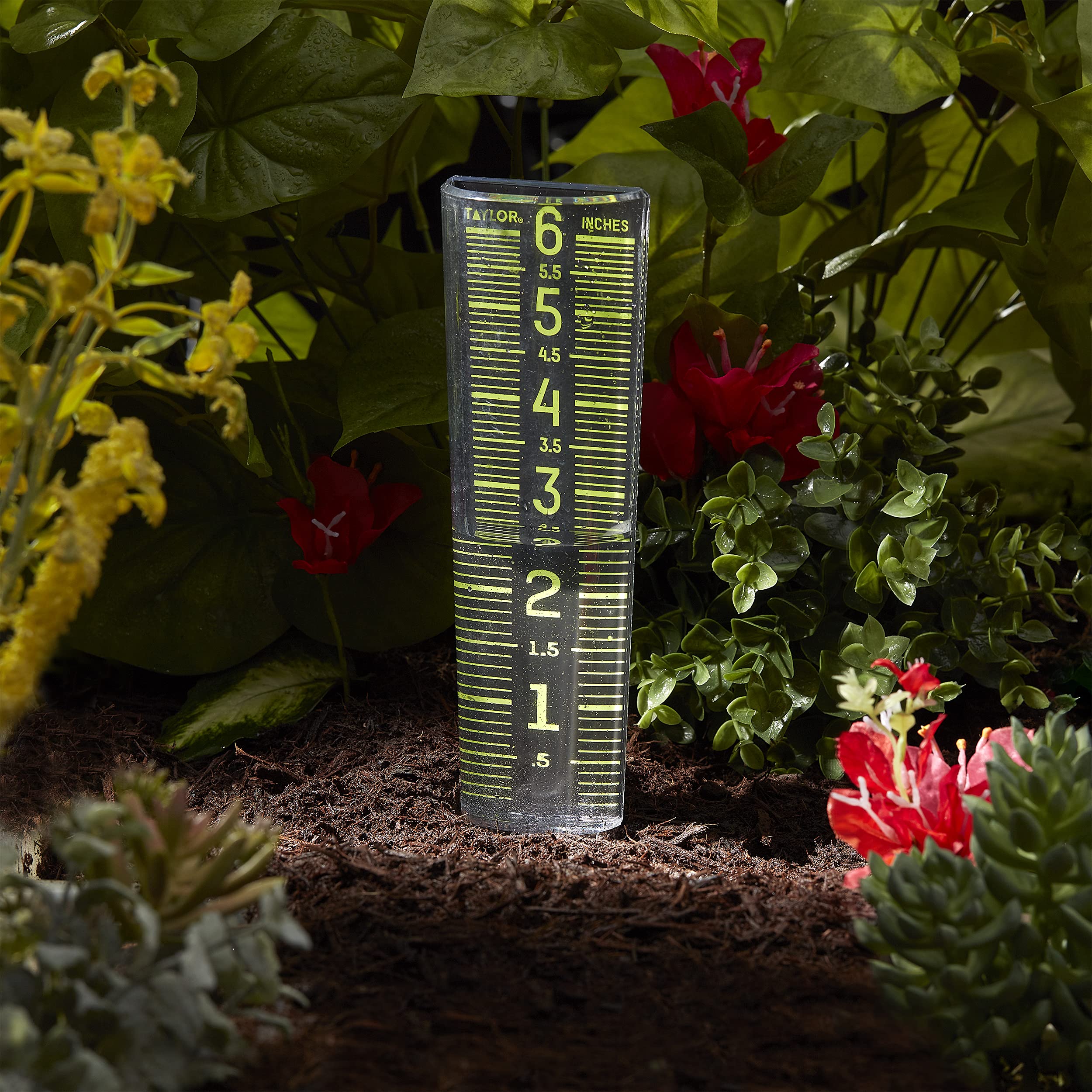 Taylor Precision Products 5288423 Medidor de Lluvia Que Brilla en la Oscuridad, Negro y Verde