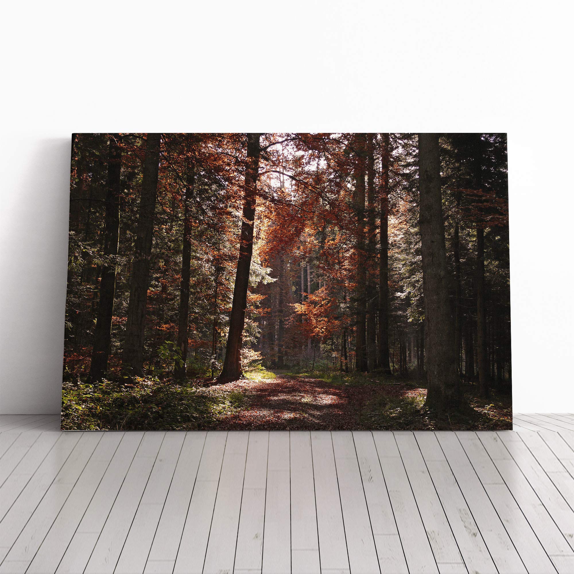 Landscape Autumn Forest Woodland Canvas Print | Gallery Wrapped 30mm Frame Wall Art | 30x20 inches | Ready to Hang | Modern Landscape Picture | Living Room Bedroom Lounge Office