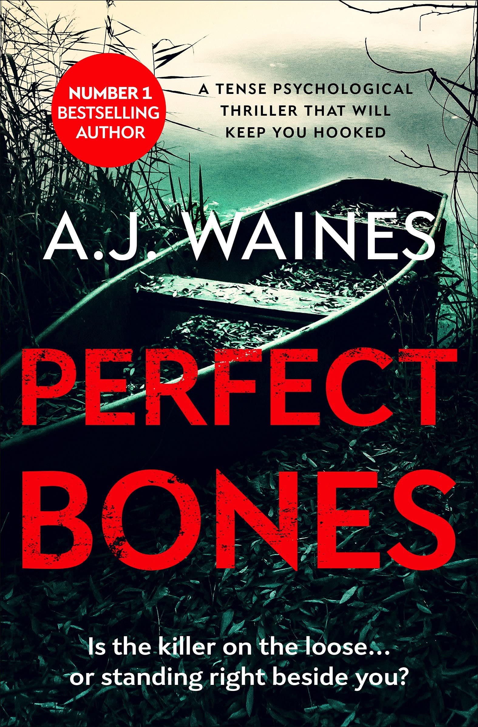 Perfect Bones: a tense psychological thriller that will keep you hooked: 3 (Samantha Willerby Mystery Series)